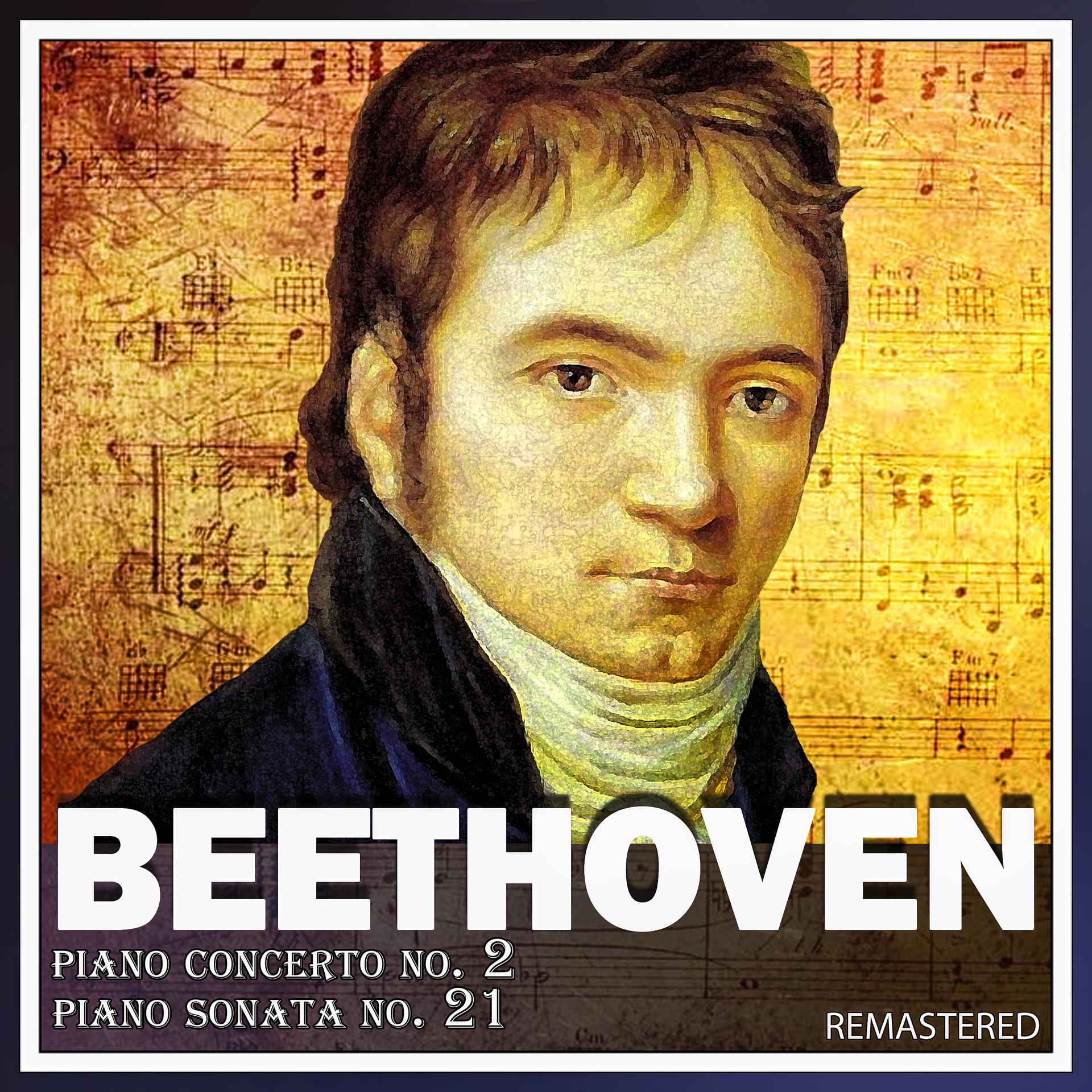 Постер альбома Ludwig van Beethoven