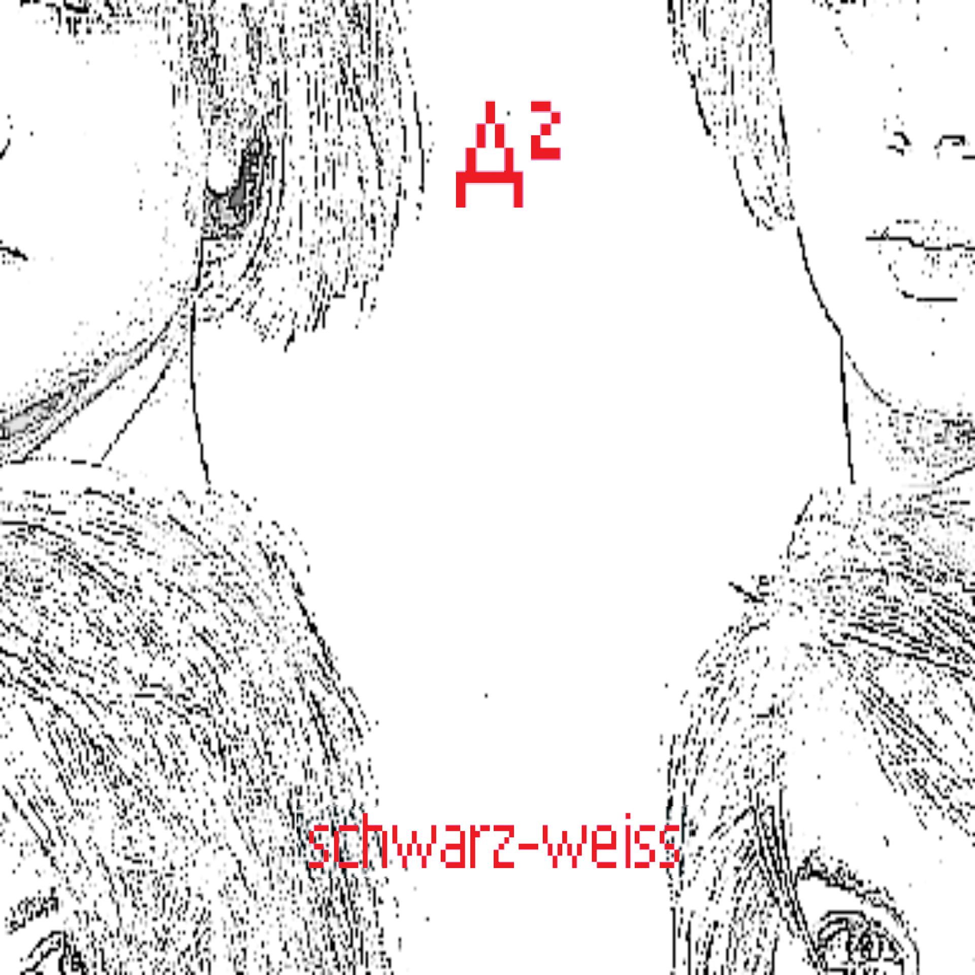 Постер альбома Schwarz-Weiss