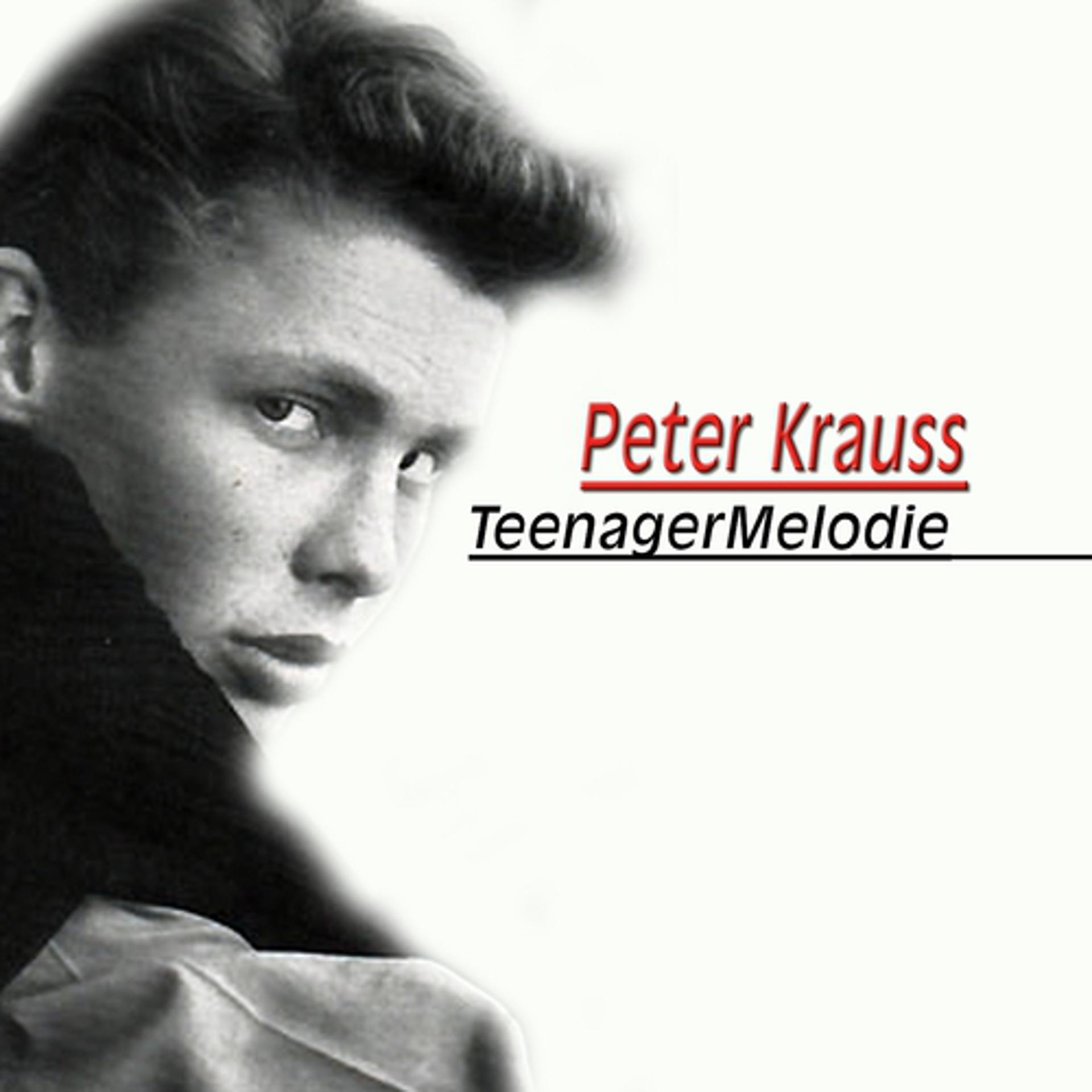 Постер альбома Teenager Melodie