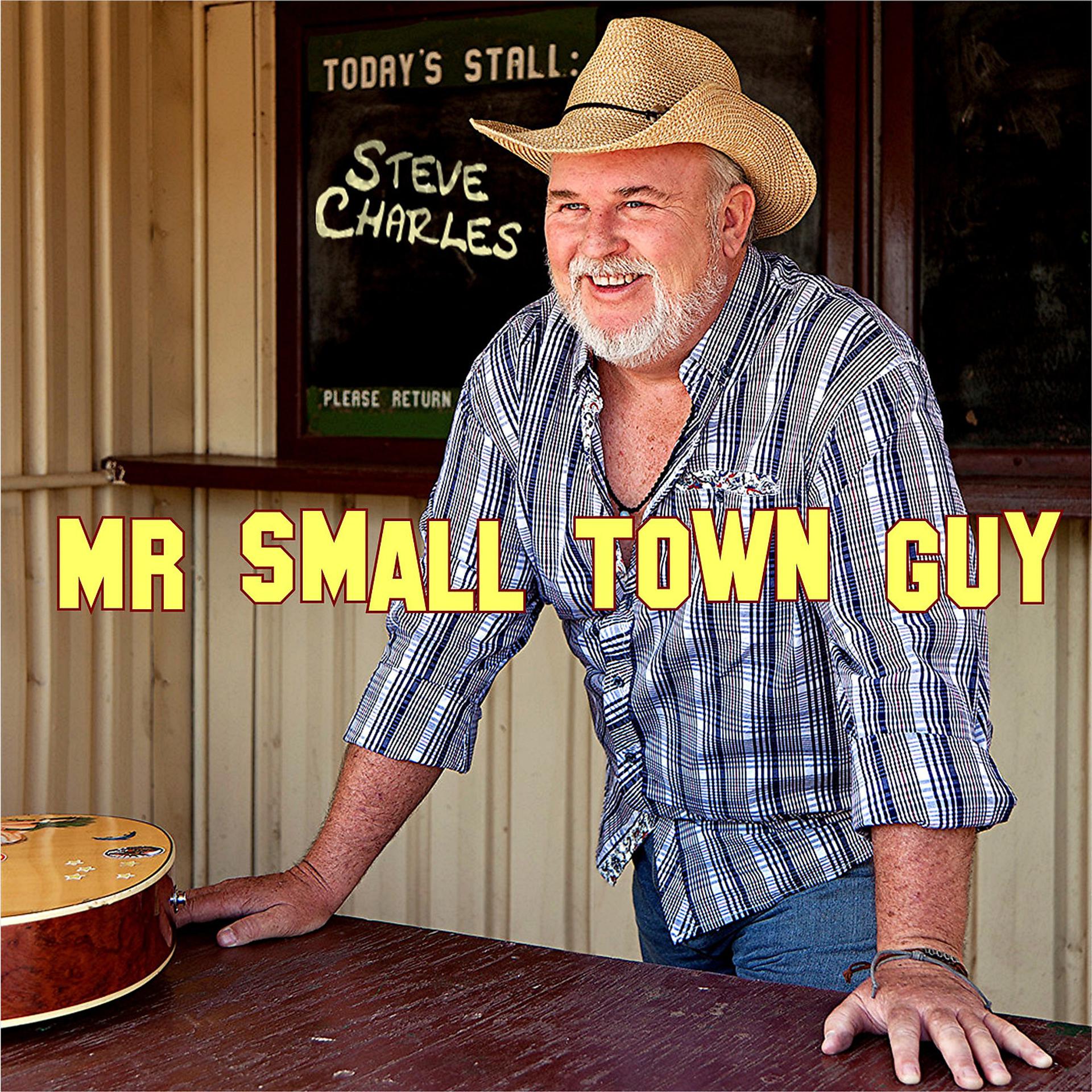Постер альбома Mr Small Town Guy