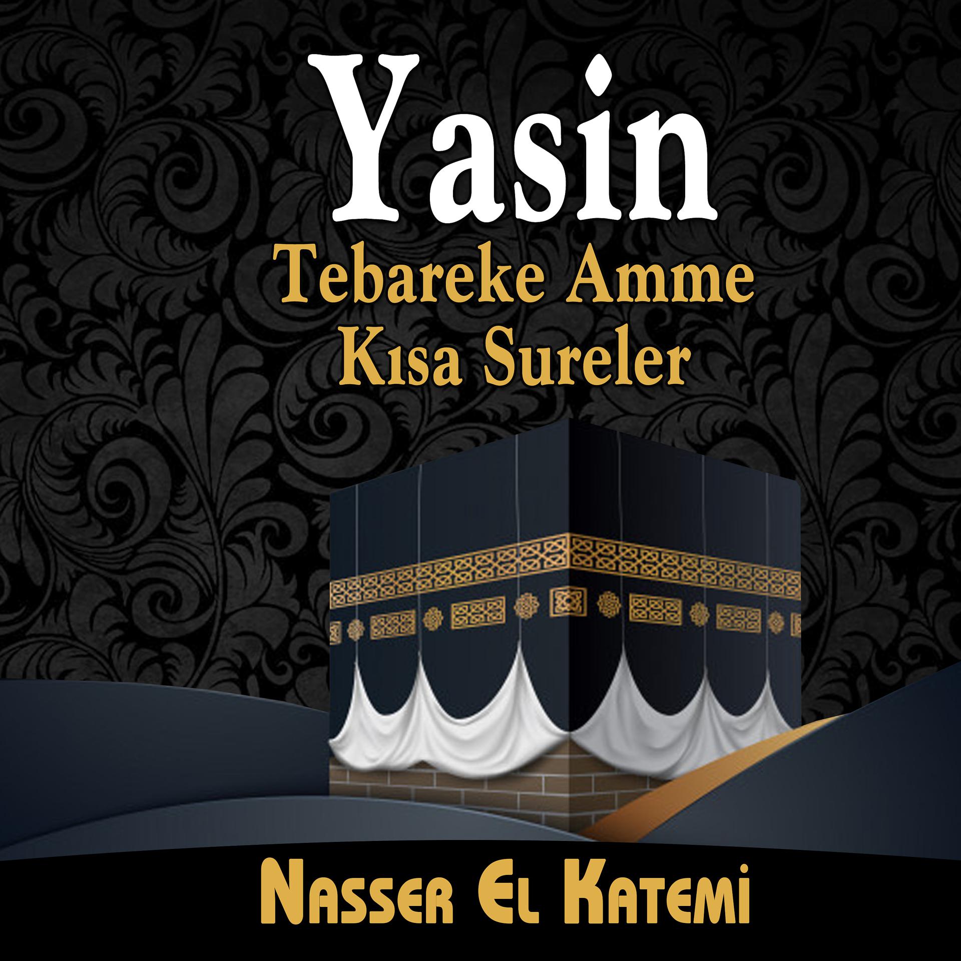 Постер альбома Yesin Tebareke Amme Kısa Sureler