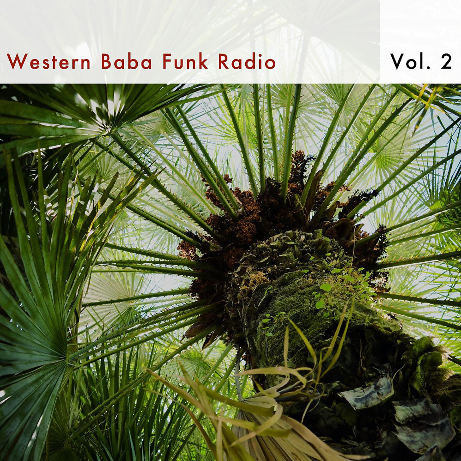 Постер альбома Western Baba Funk Radio, Vol. 2
