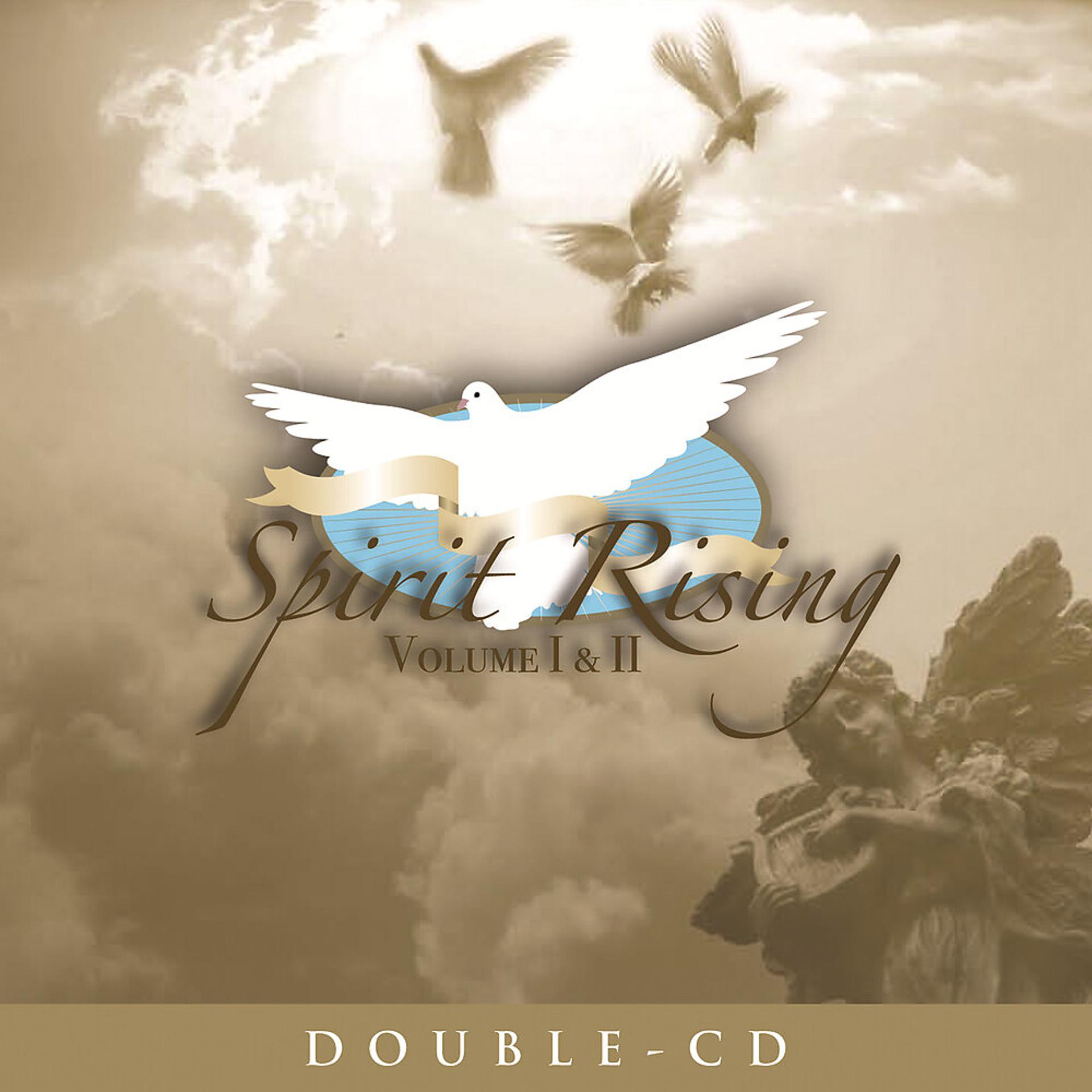 Постер альбома Spirit Rising Volume I & II