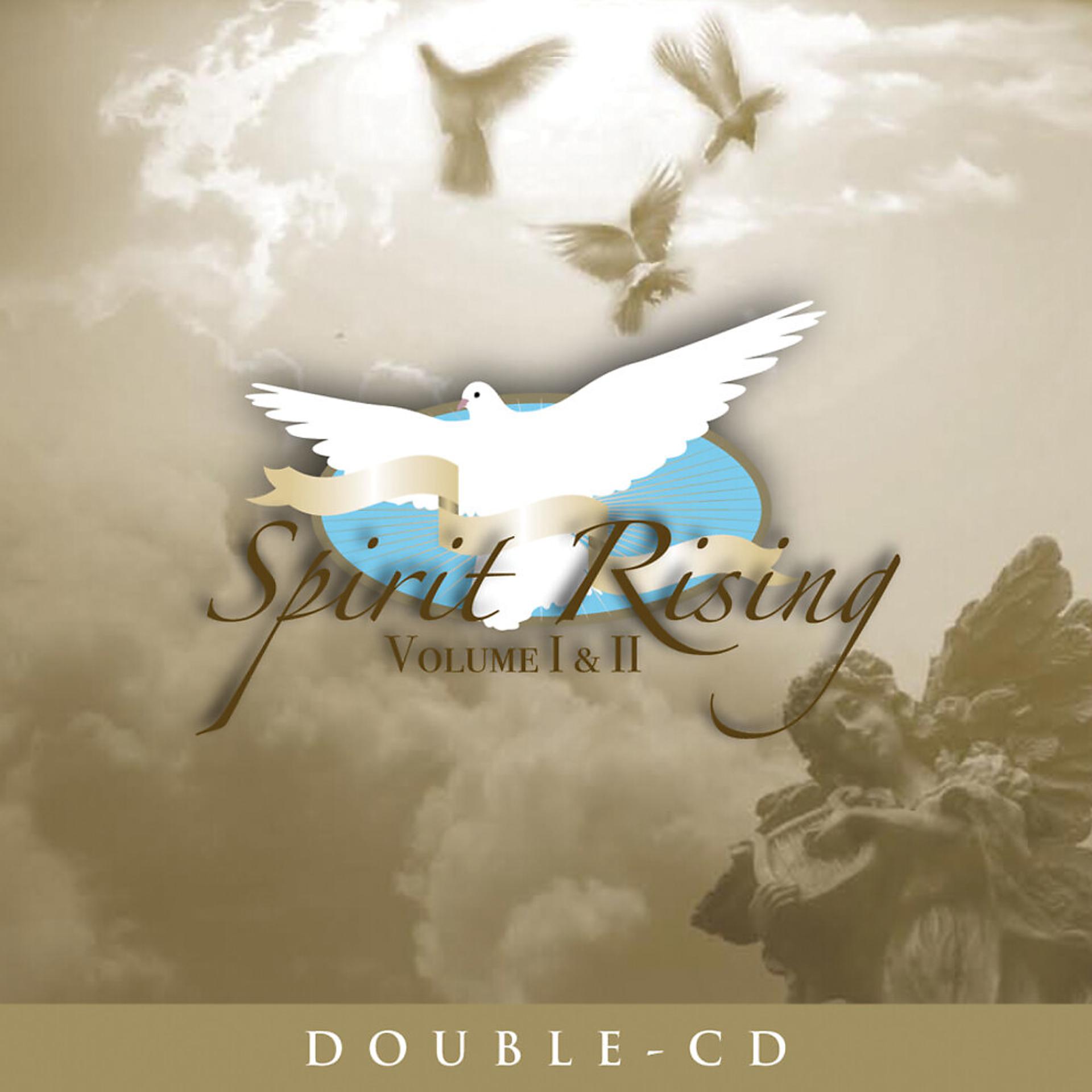 Постер альбома Spirit Rising Vol. I & II