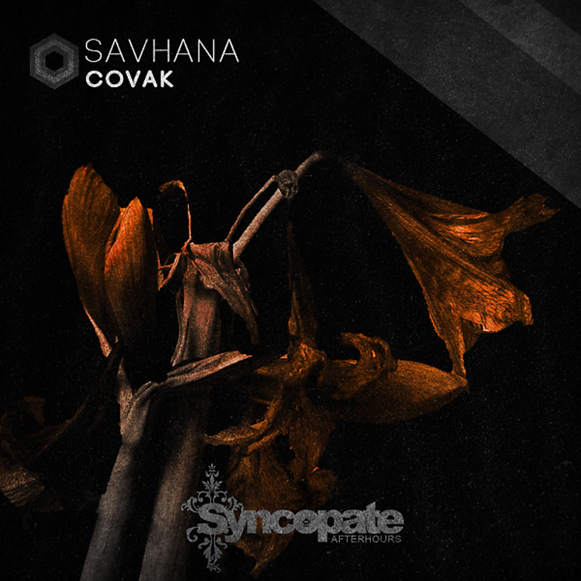 Постер альбома Savhana