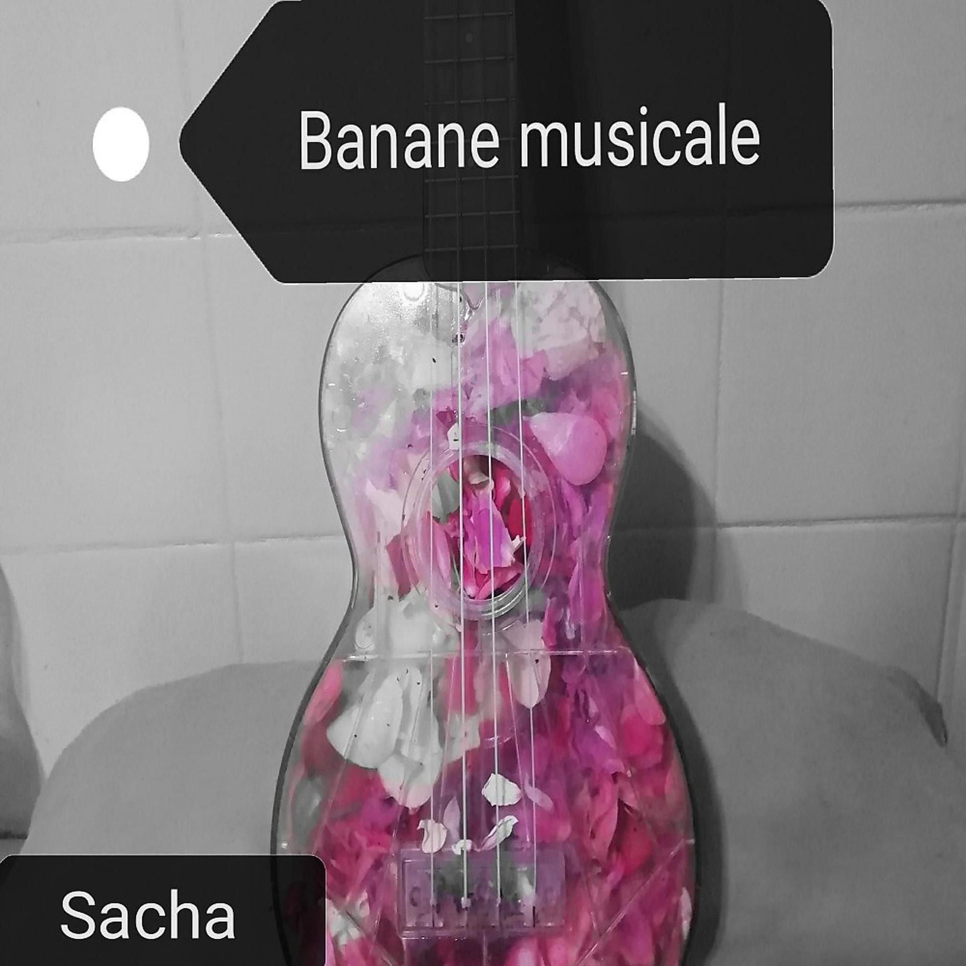Постер альбома Banane musicale