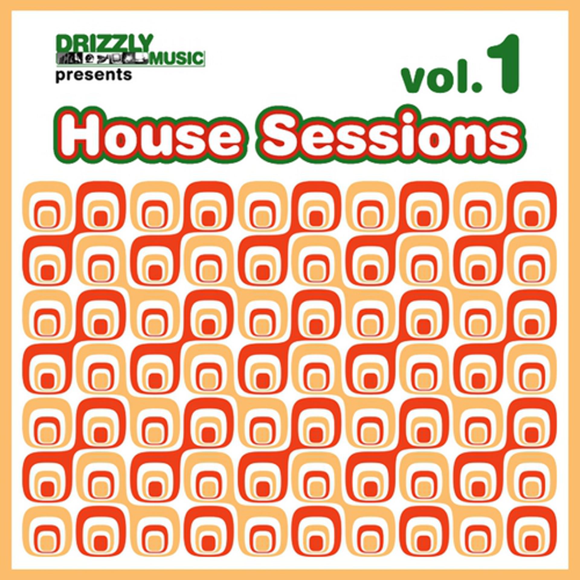 Постер альбома Drizzly House Sessions, Vol. 1