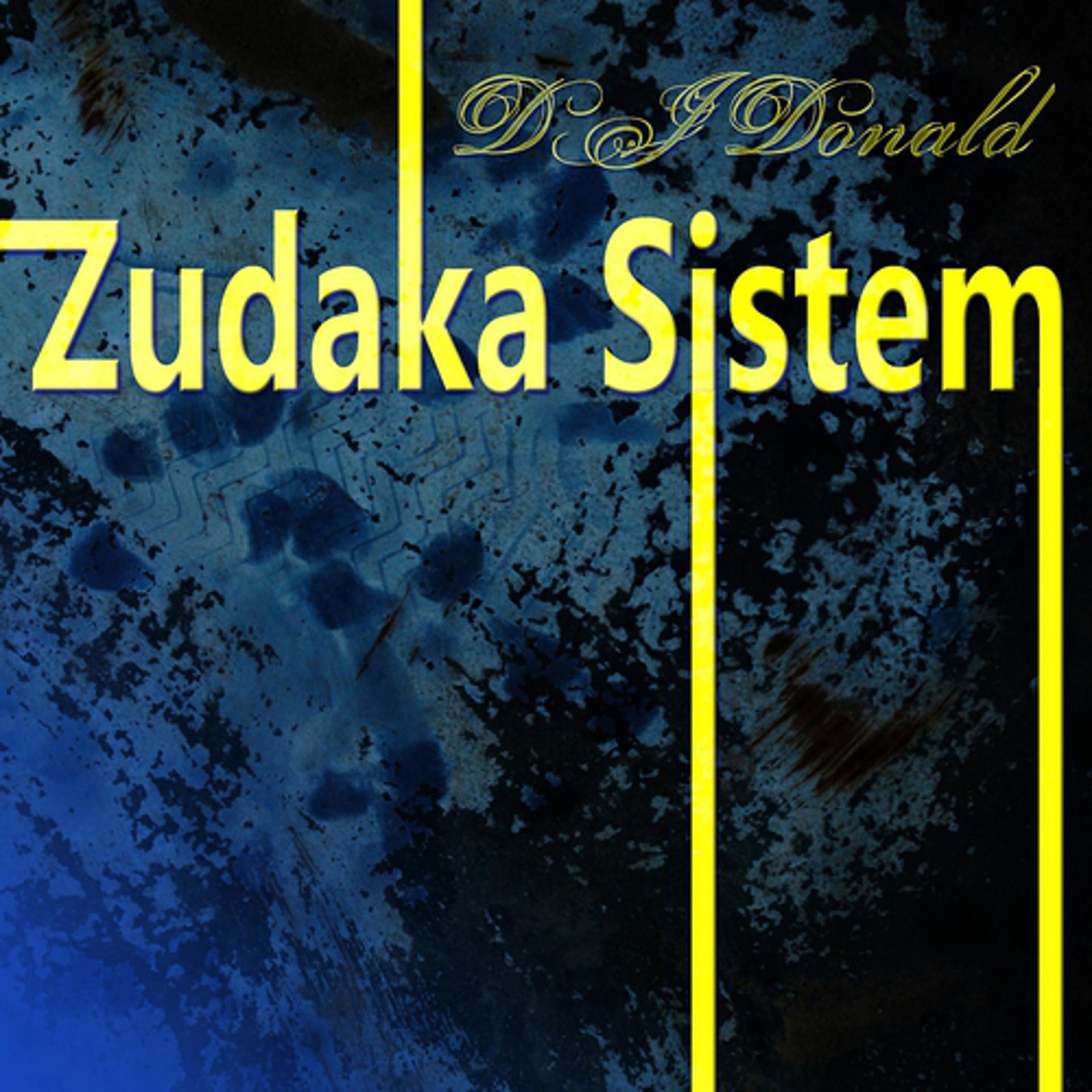 Постер альбома Zudaka Sistem