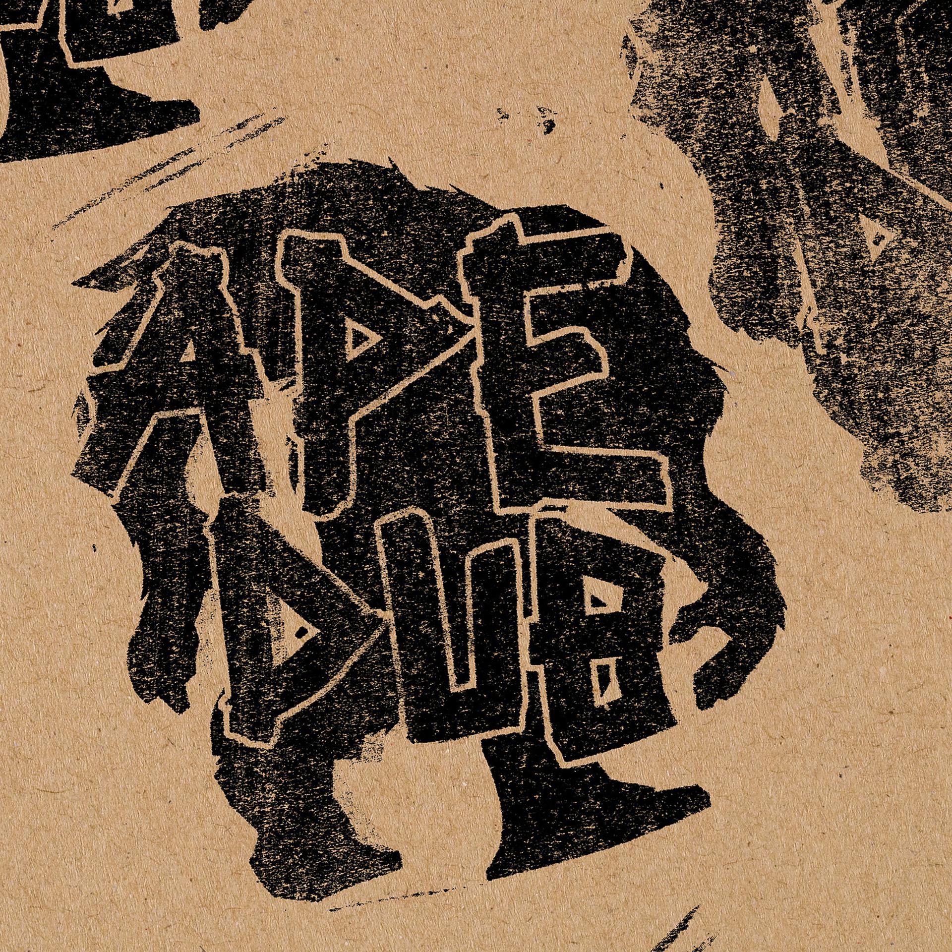 Постер альбома Ape Dub