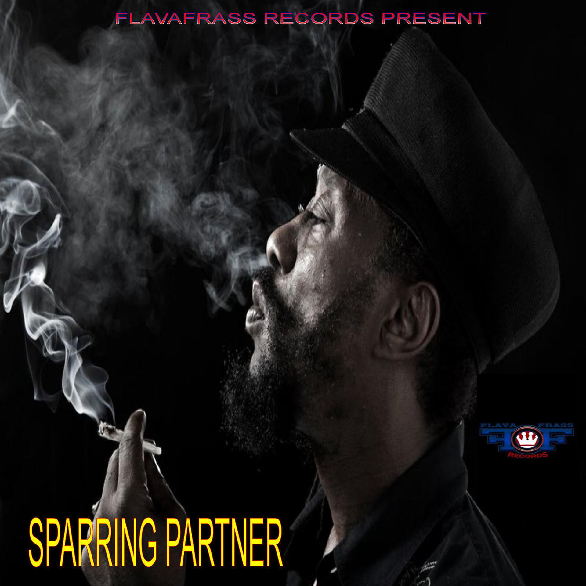 Постер альбома Sparring Partner