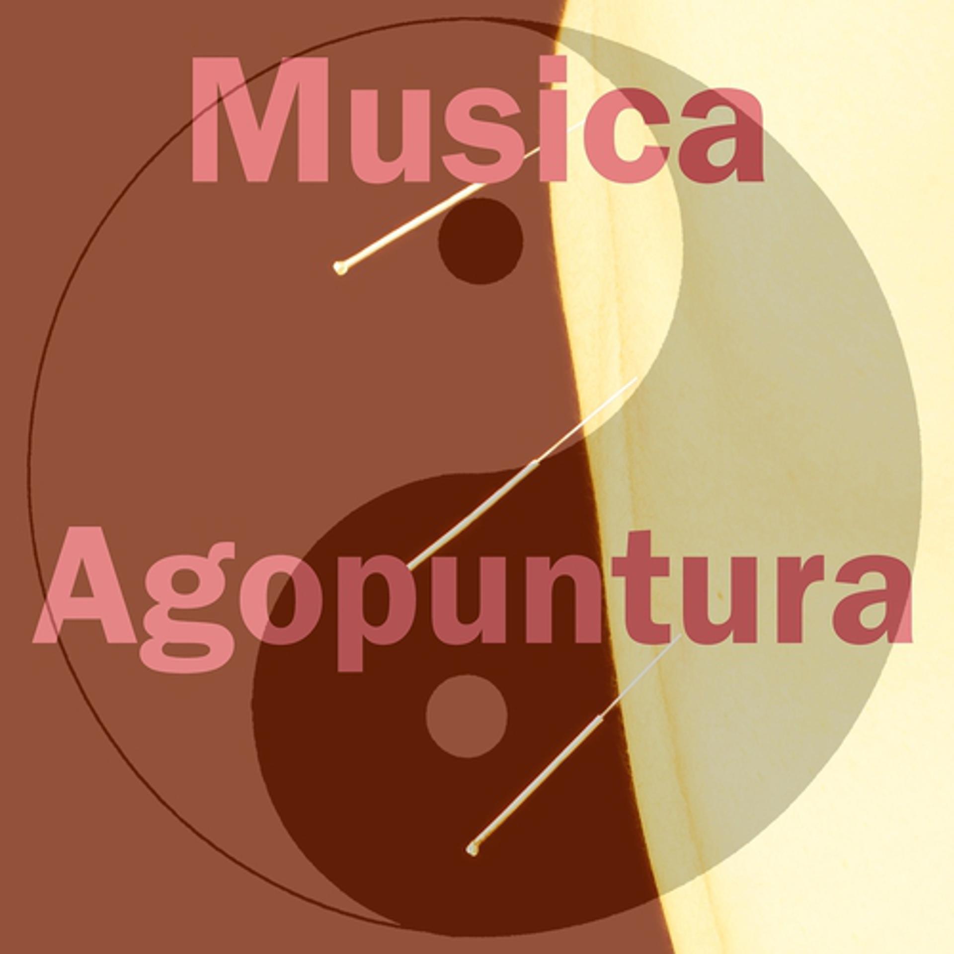 Постер альбома Musica agopuntura