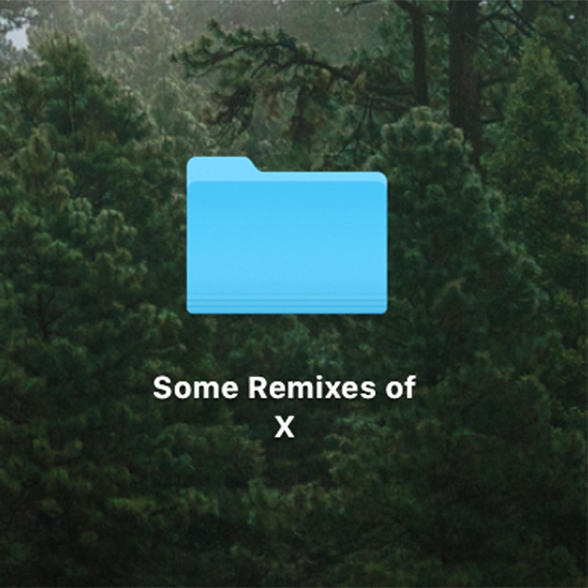 Постер альбома Some Remixes of X