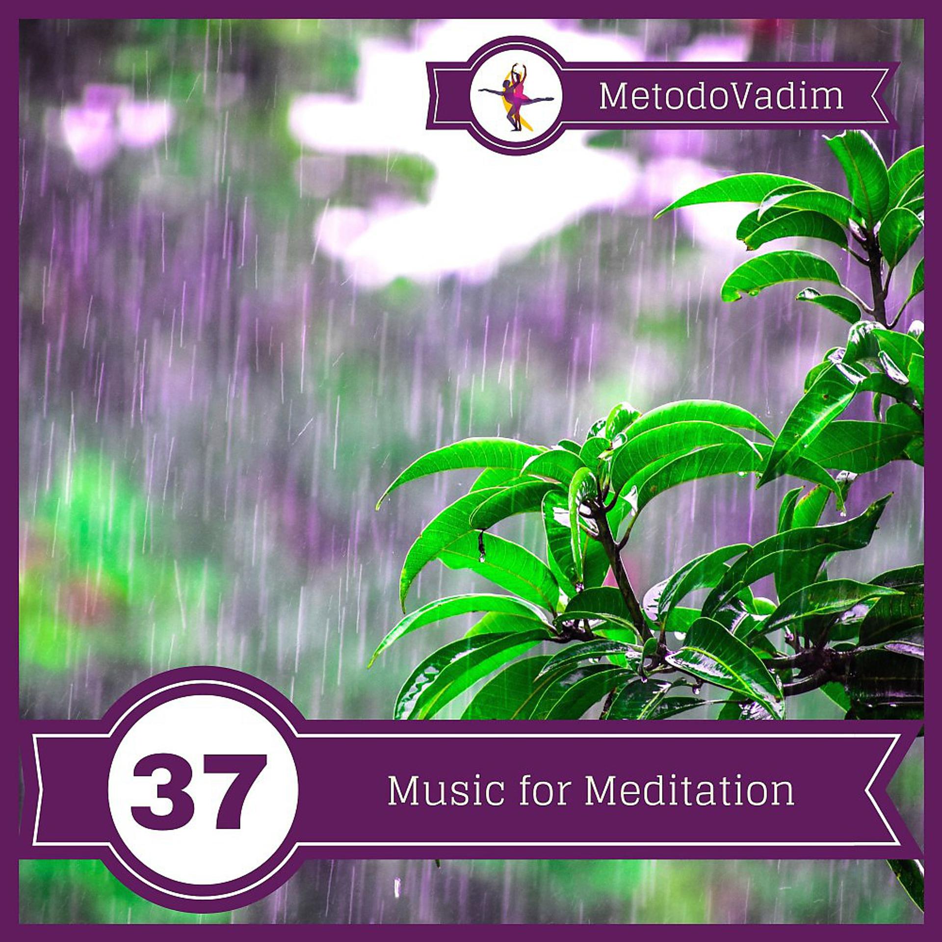 Постер альбома Music for Meditation: Rain Song