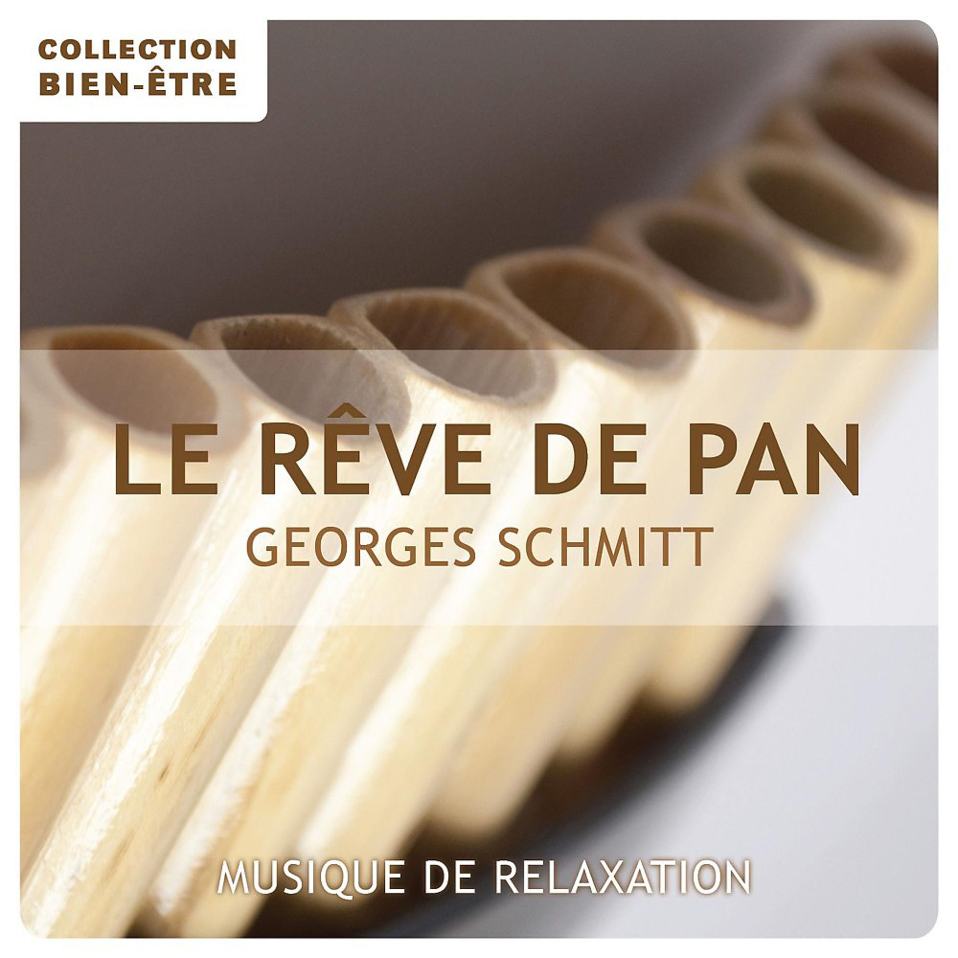 Постер альбома Le rêve de Pan (Musique de relaxation)