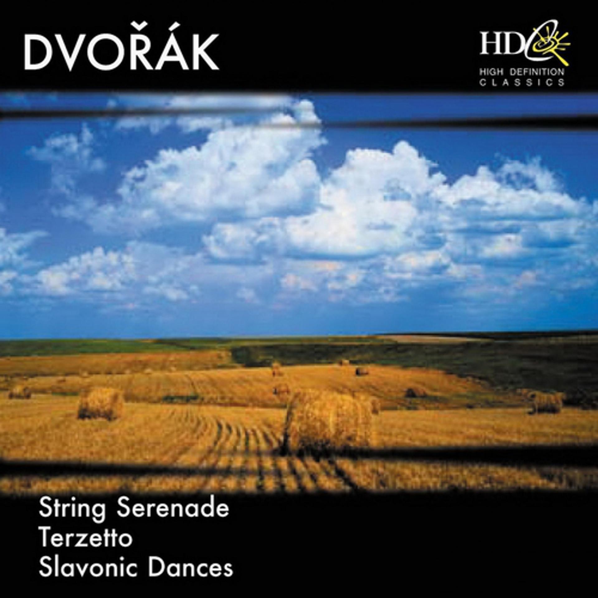 Постер альбома Dvorák