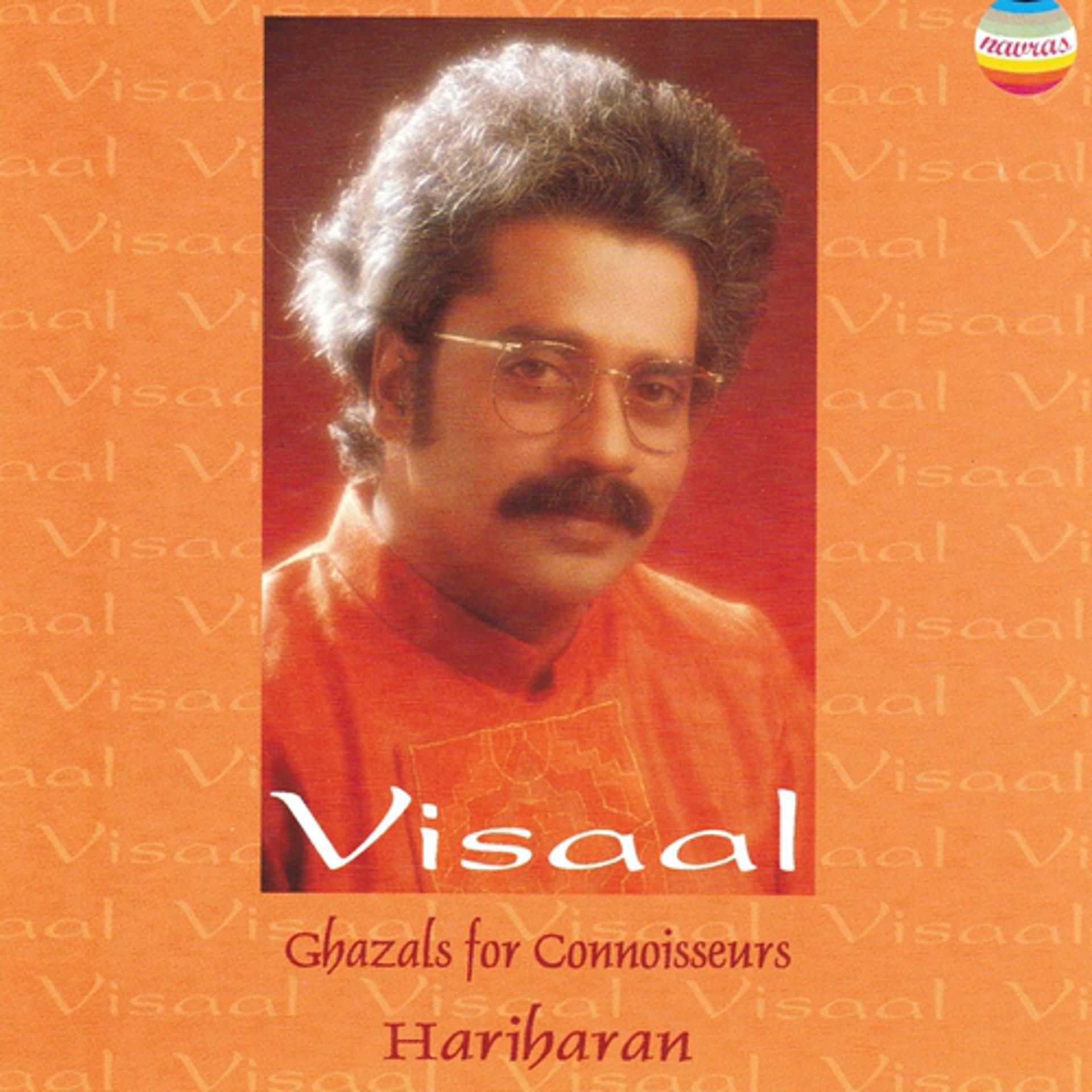 Постер альбома Visaal