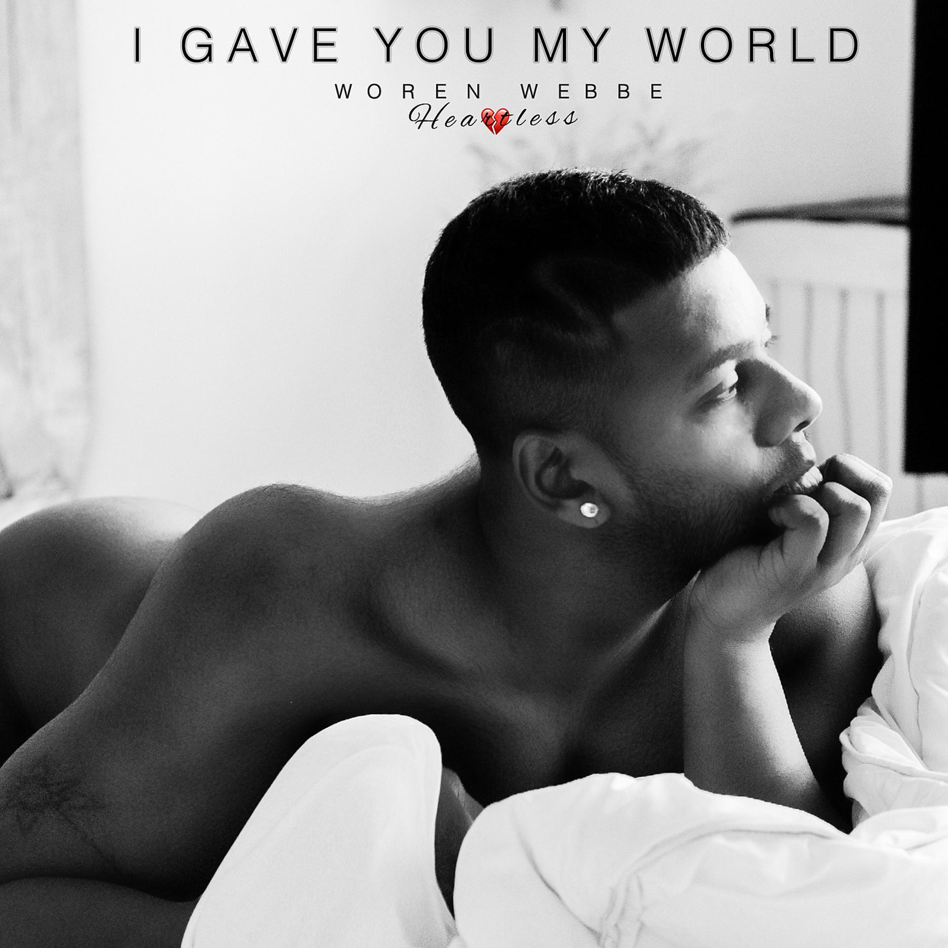 Постер альбома I Gave You My World ( Heartless )