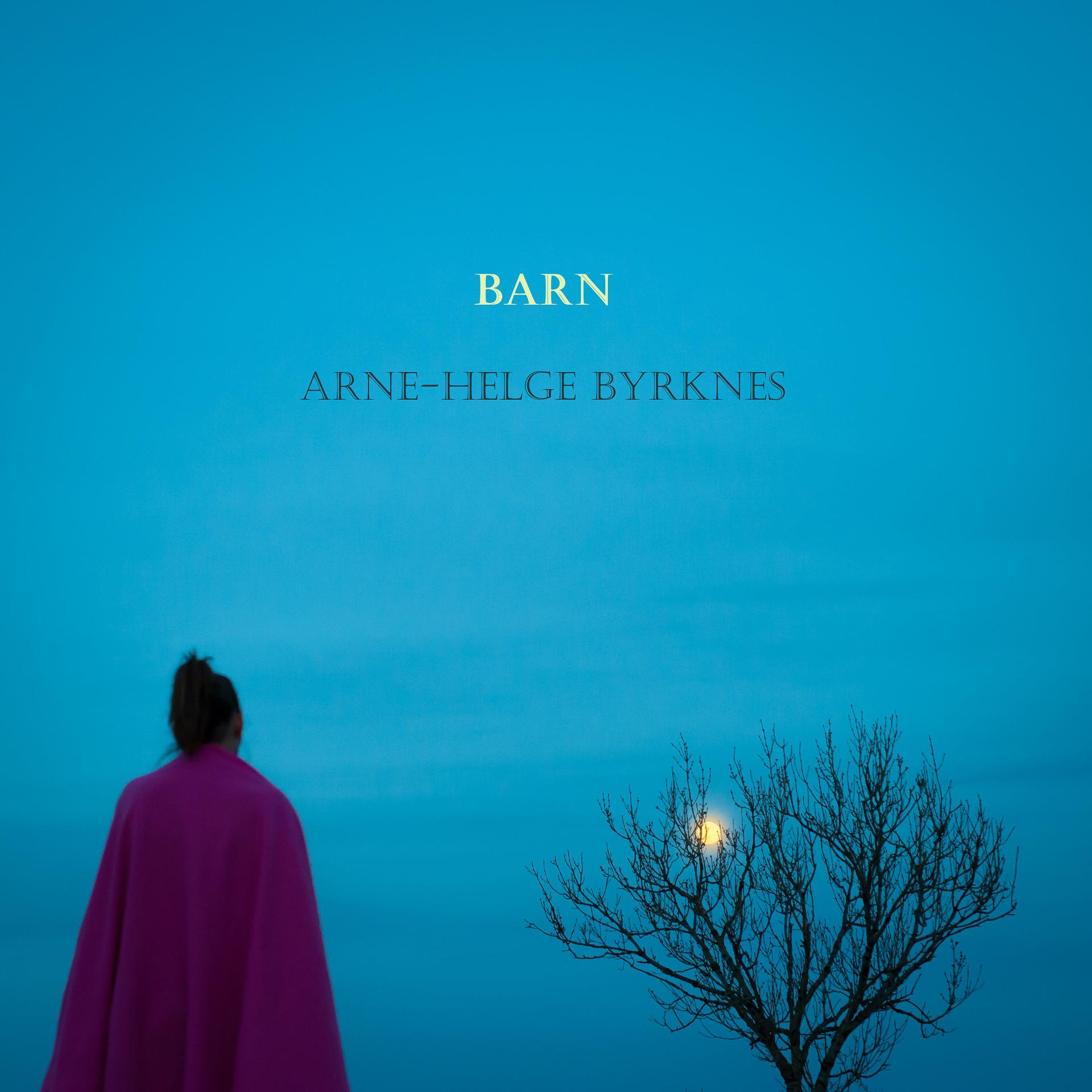 Постер альбома Barn