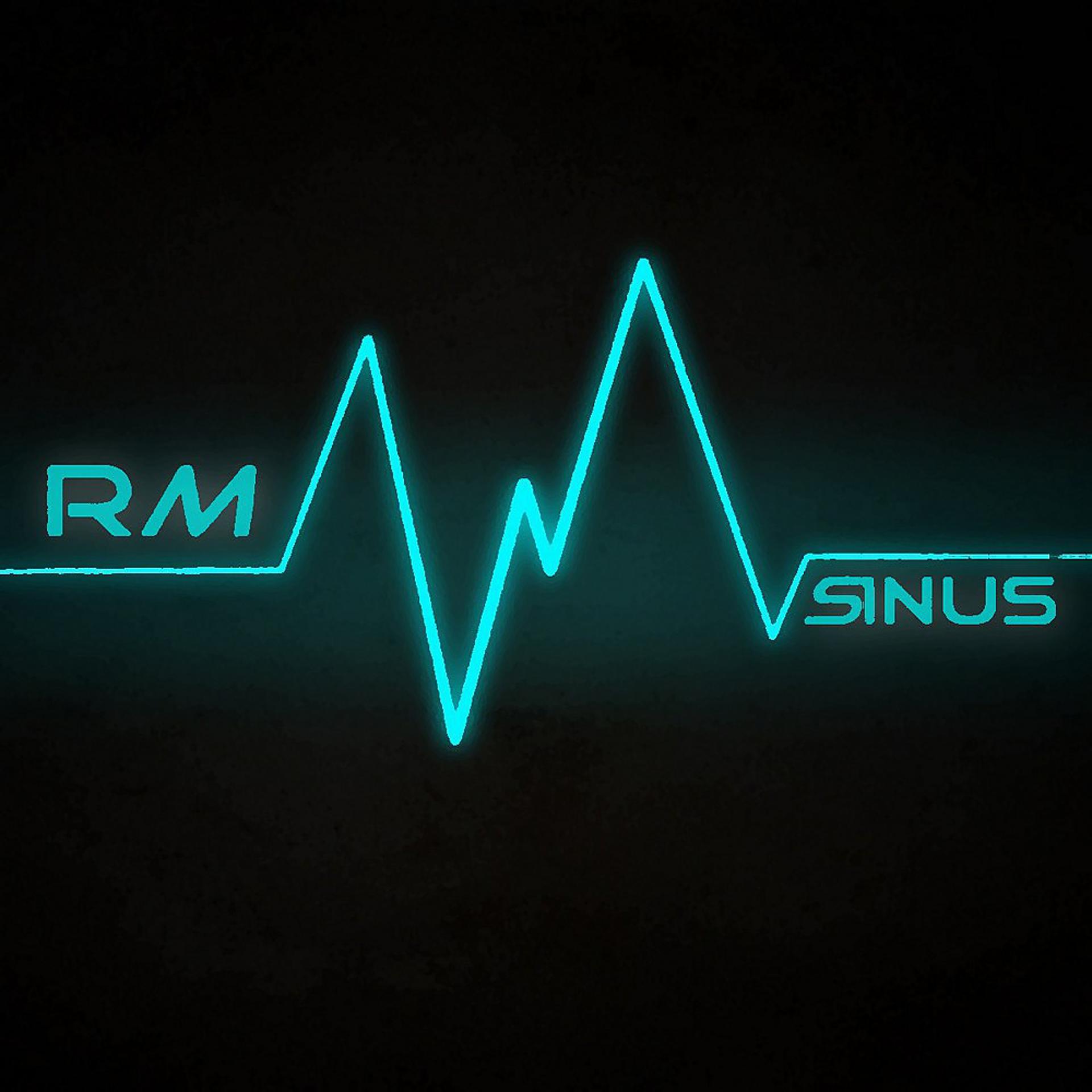 Постер альбома Sinus