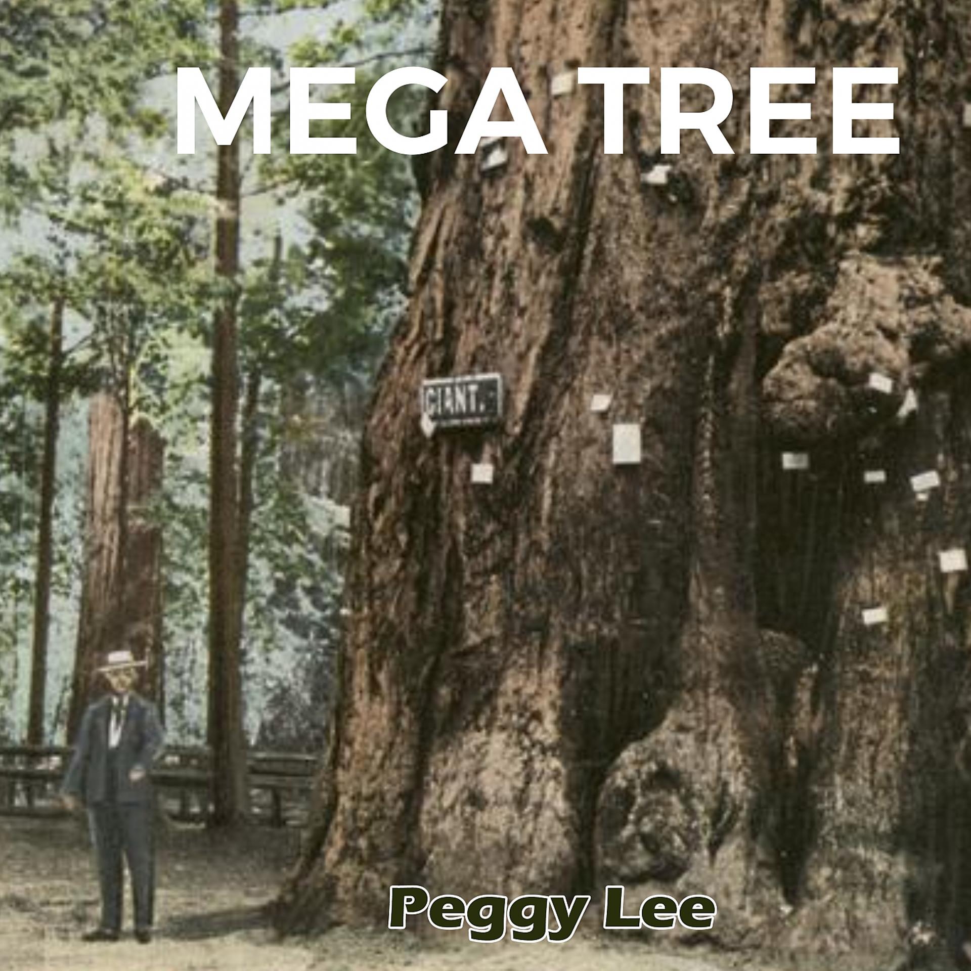 Постер альбома Mega Tree