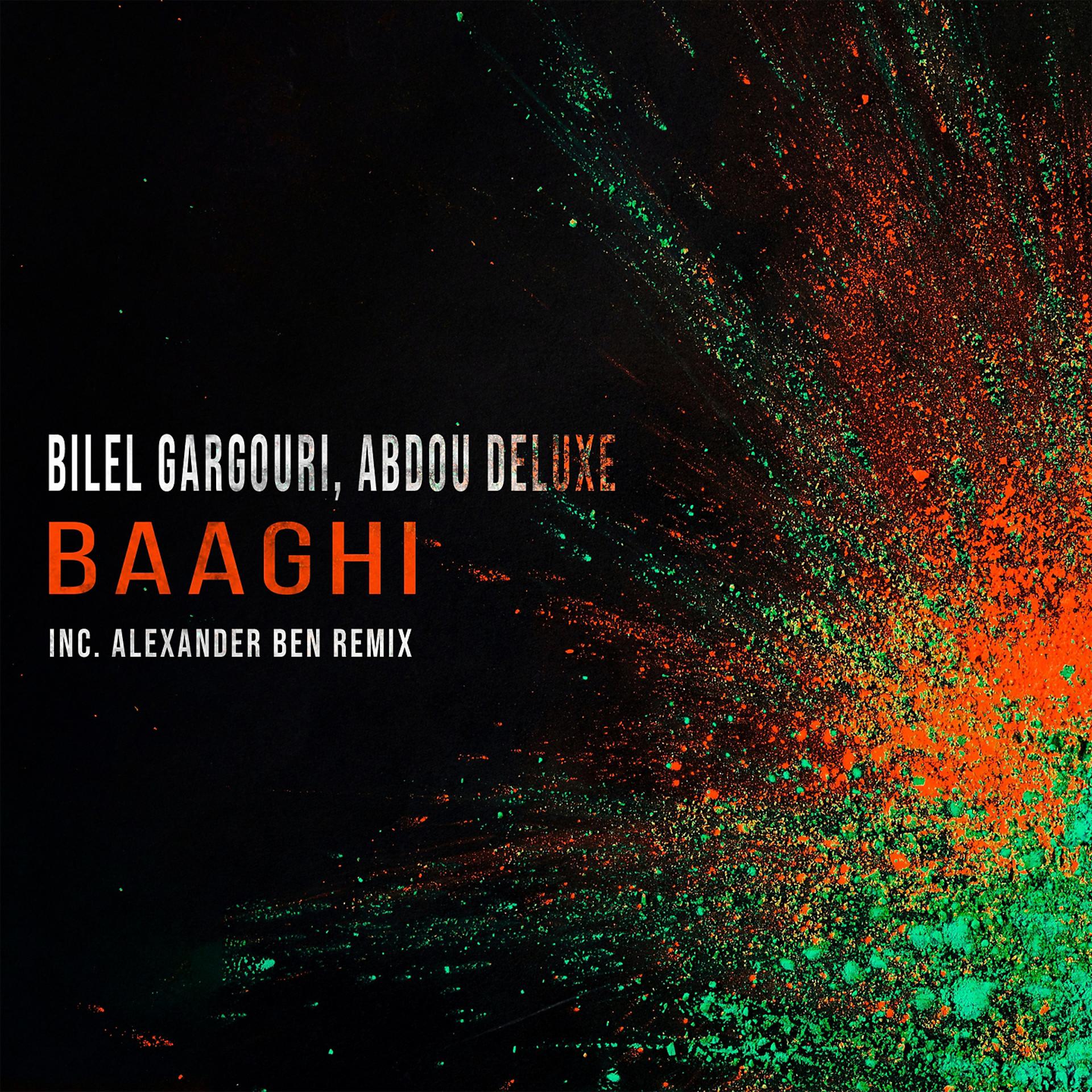Постер альбома Baaghi