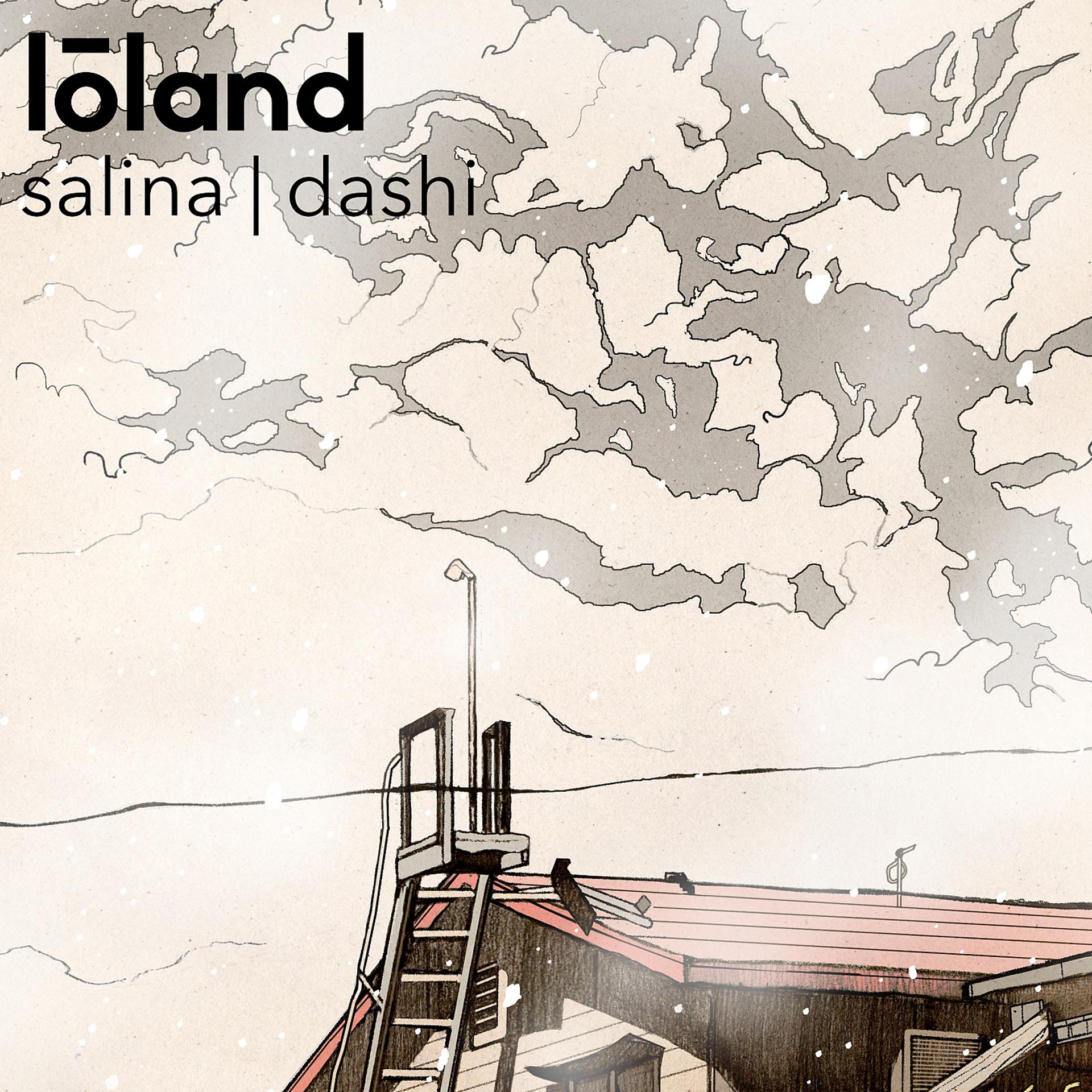 Постер альбома salina | dashi
