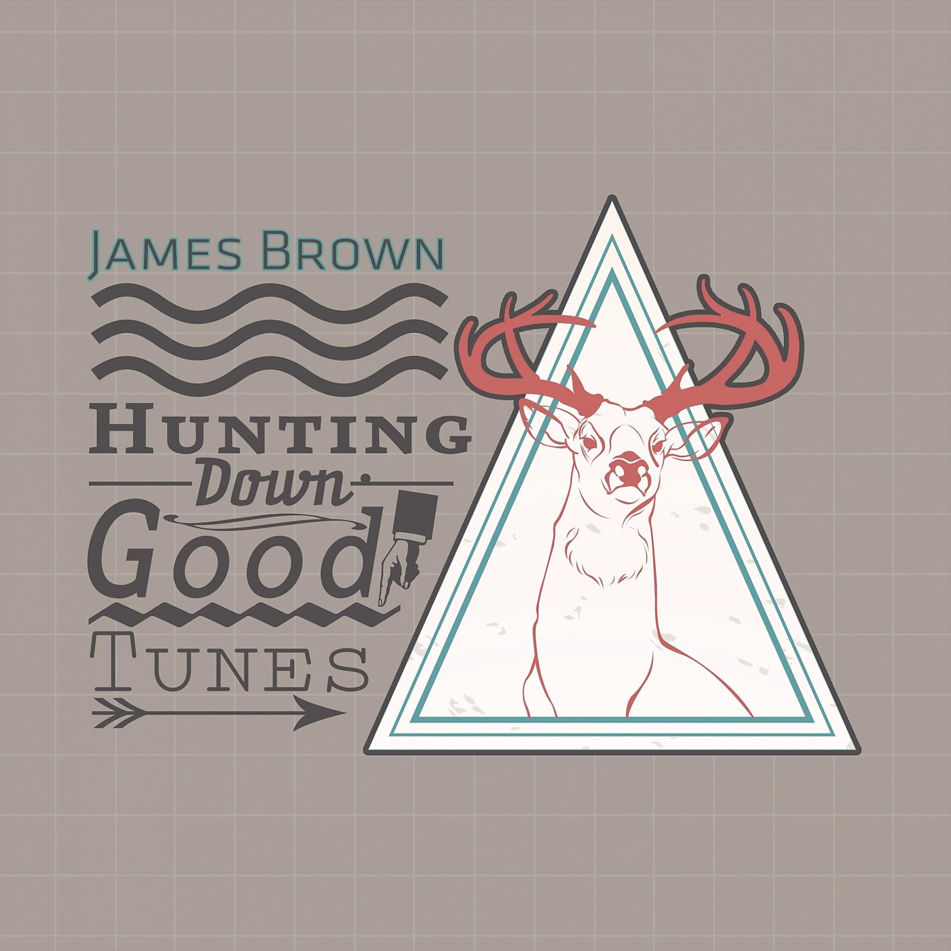 Постер альбома Hunting Down Good Tunes