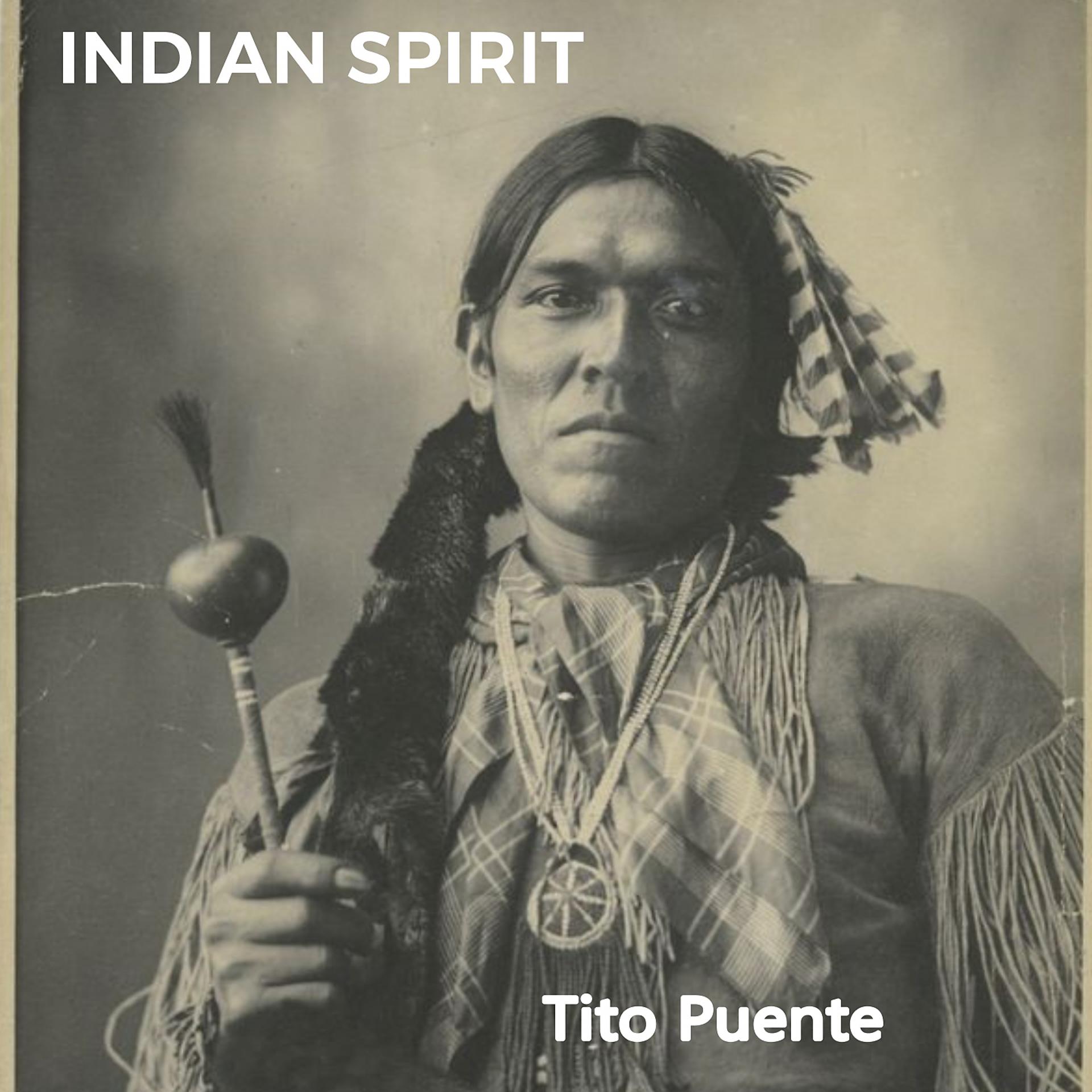 Постер альбома Indian Spirit