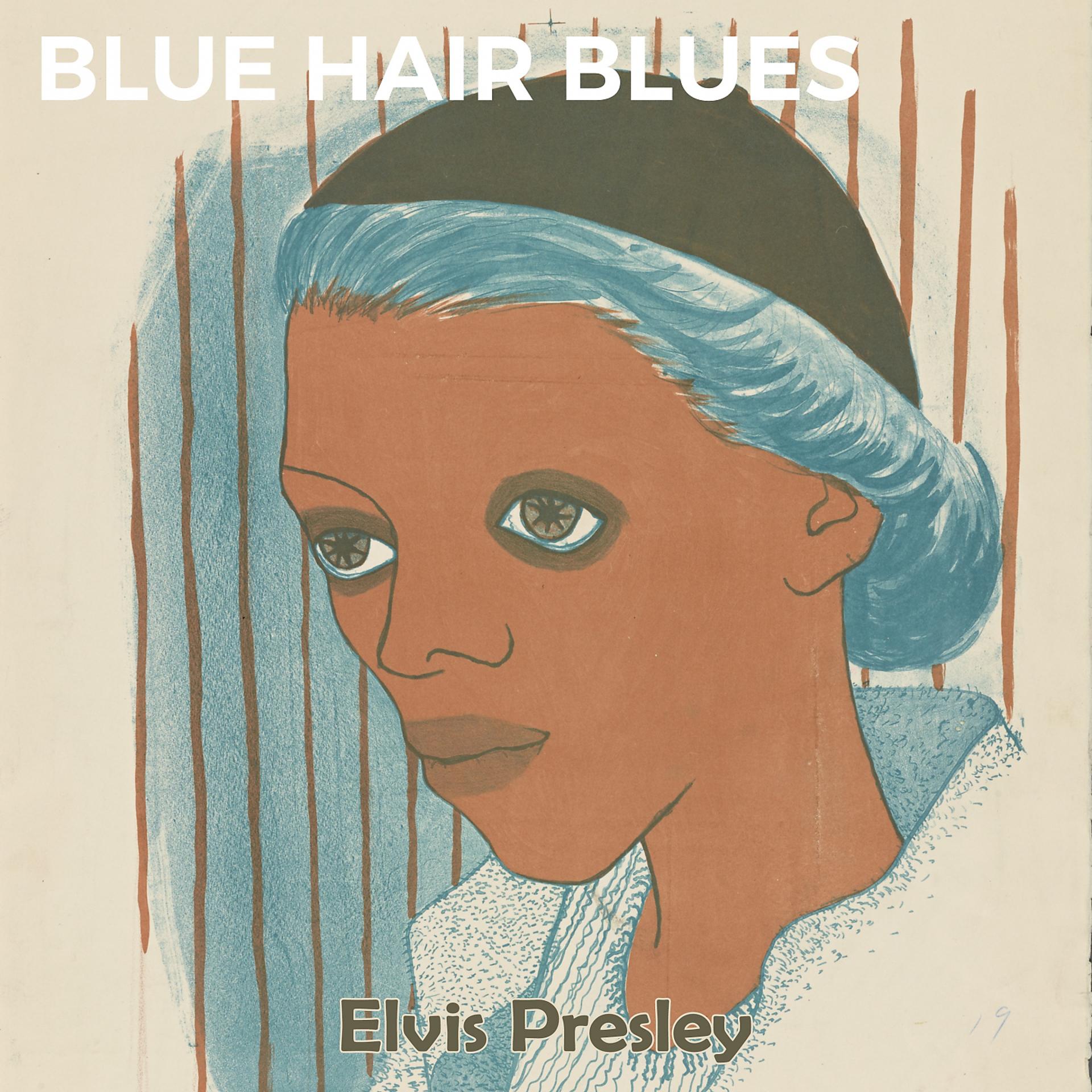 Постер альбома Blue Hair Blues