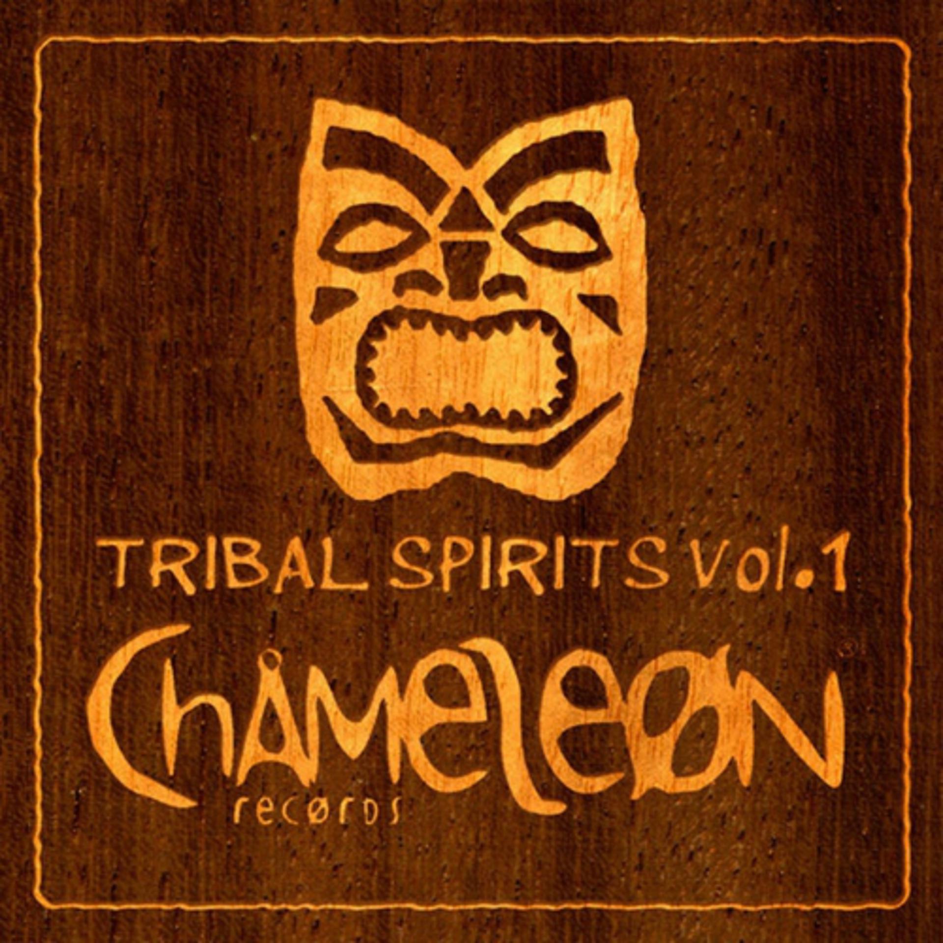 Постер альбома Tribal Spirits, Vol. 1