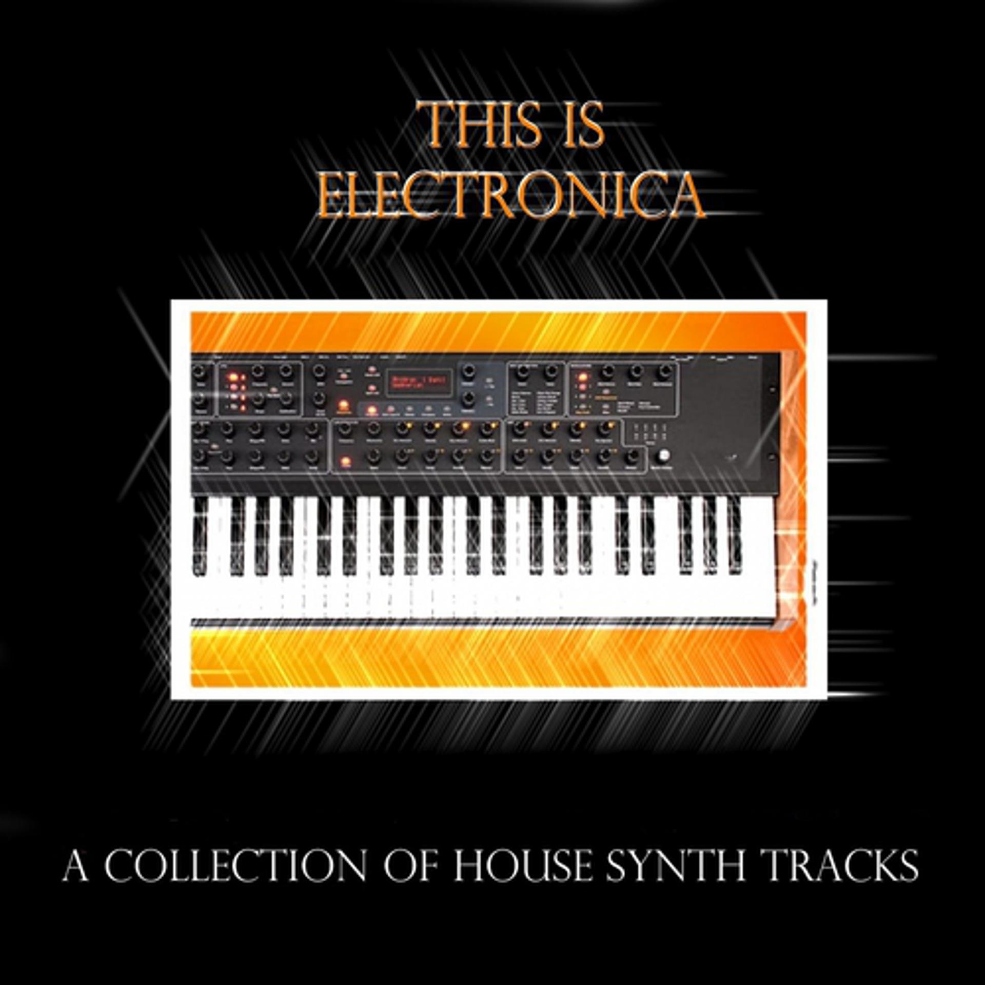 Постер альбома This Is Electronica (A Collection Of House Synth Tracks)
