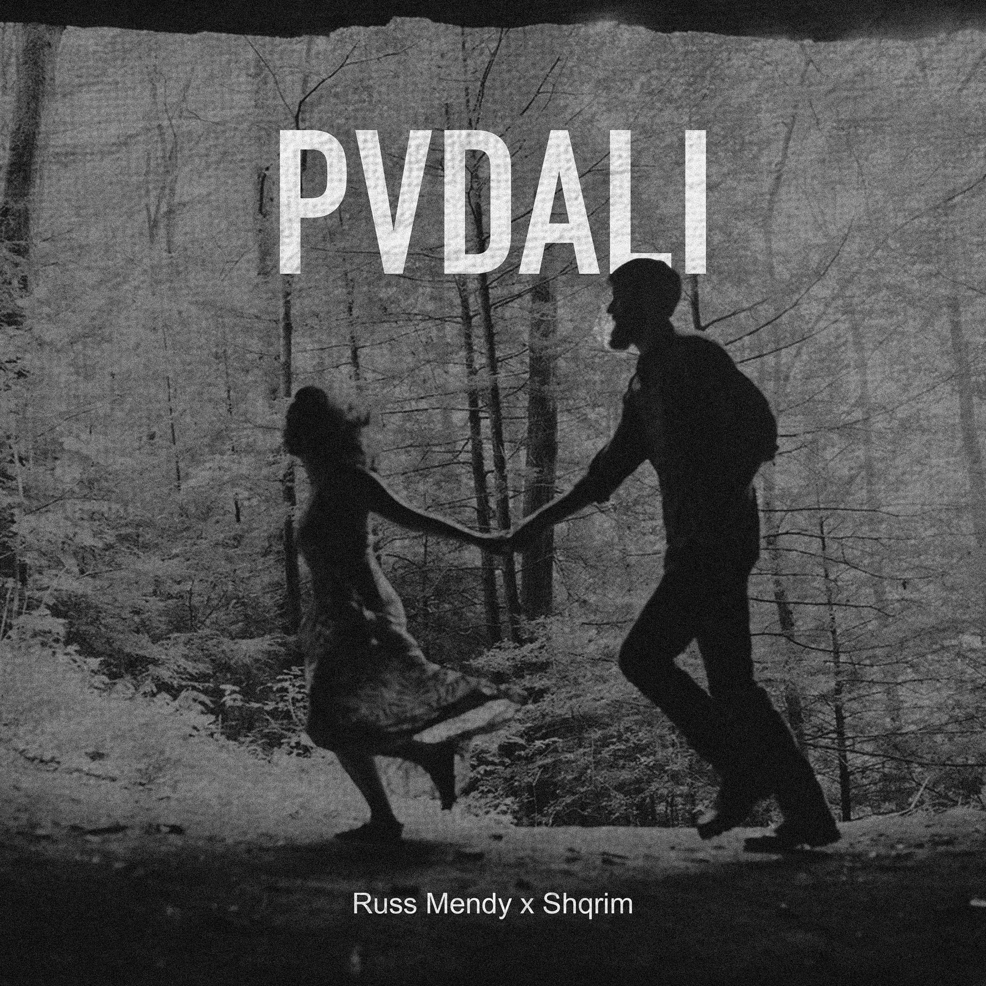 Постер альбома PVDALI
