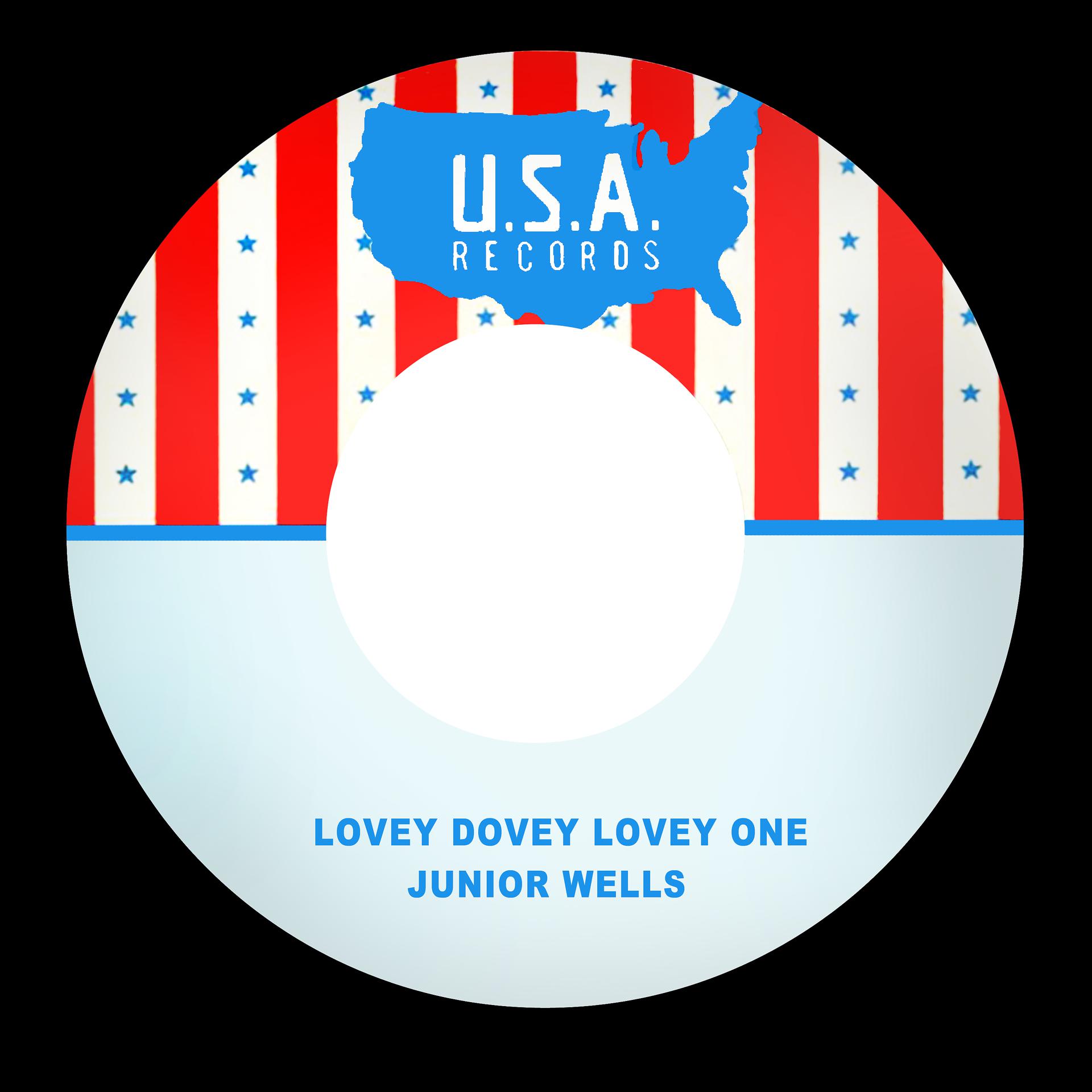 Постер альбома Lovey Dovey Lovey One