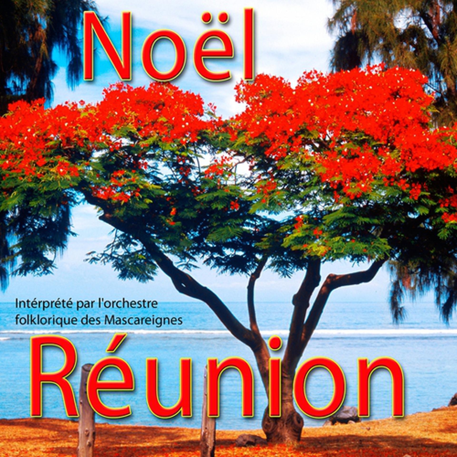 Постер альбома Noël à La Réunion