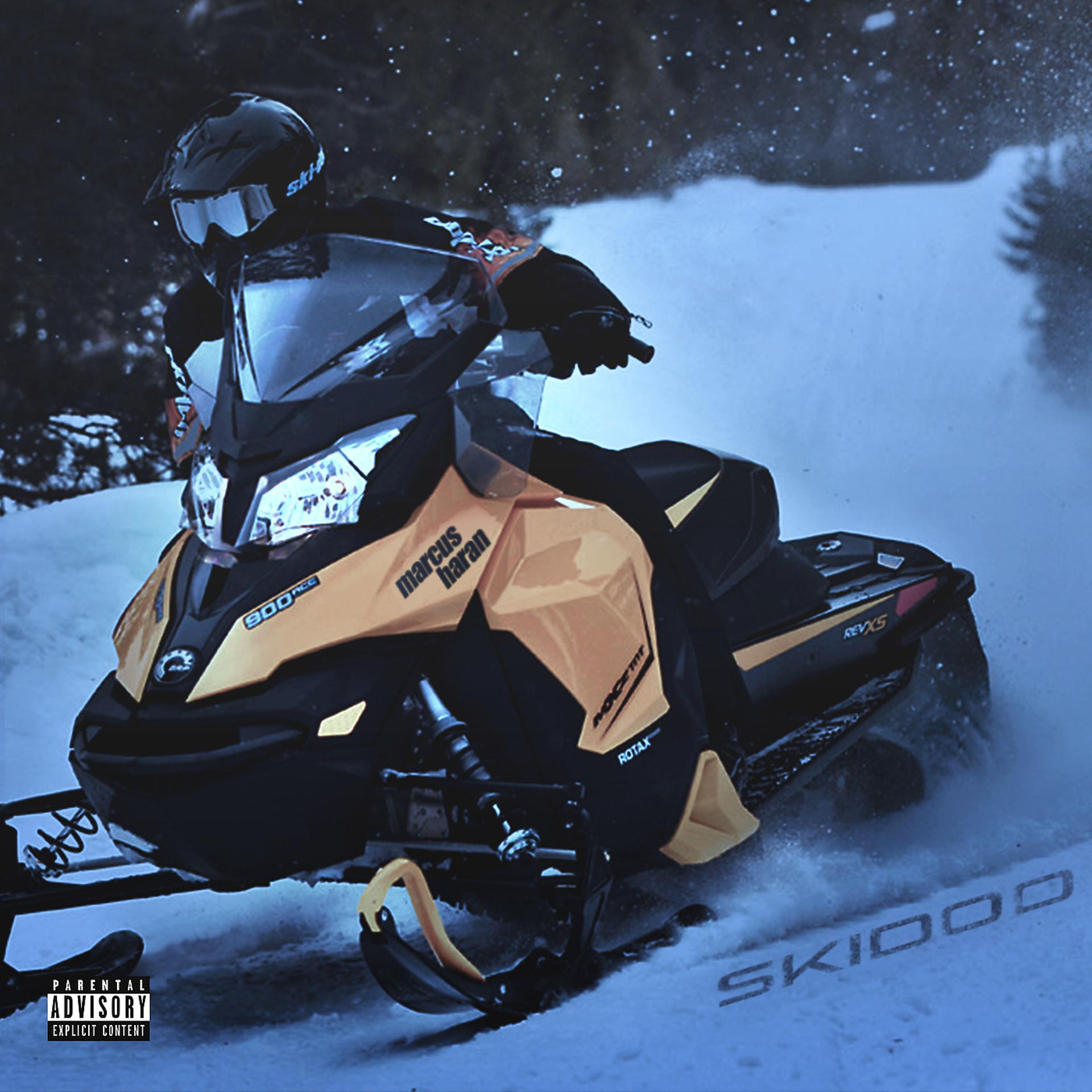 Постер альбома Ski-Doo