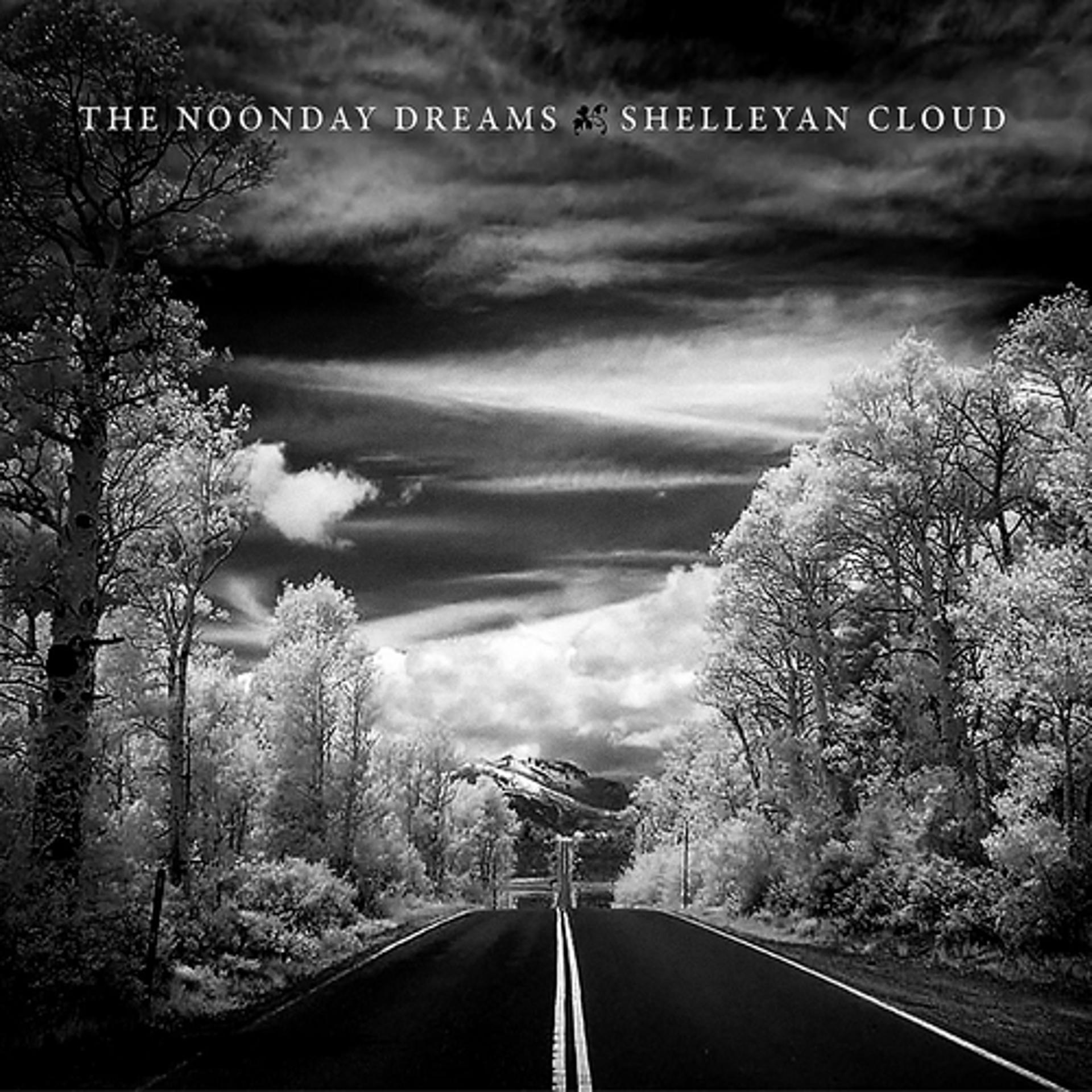 Постер альбома Shelleyan Cloud