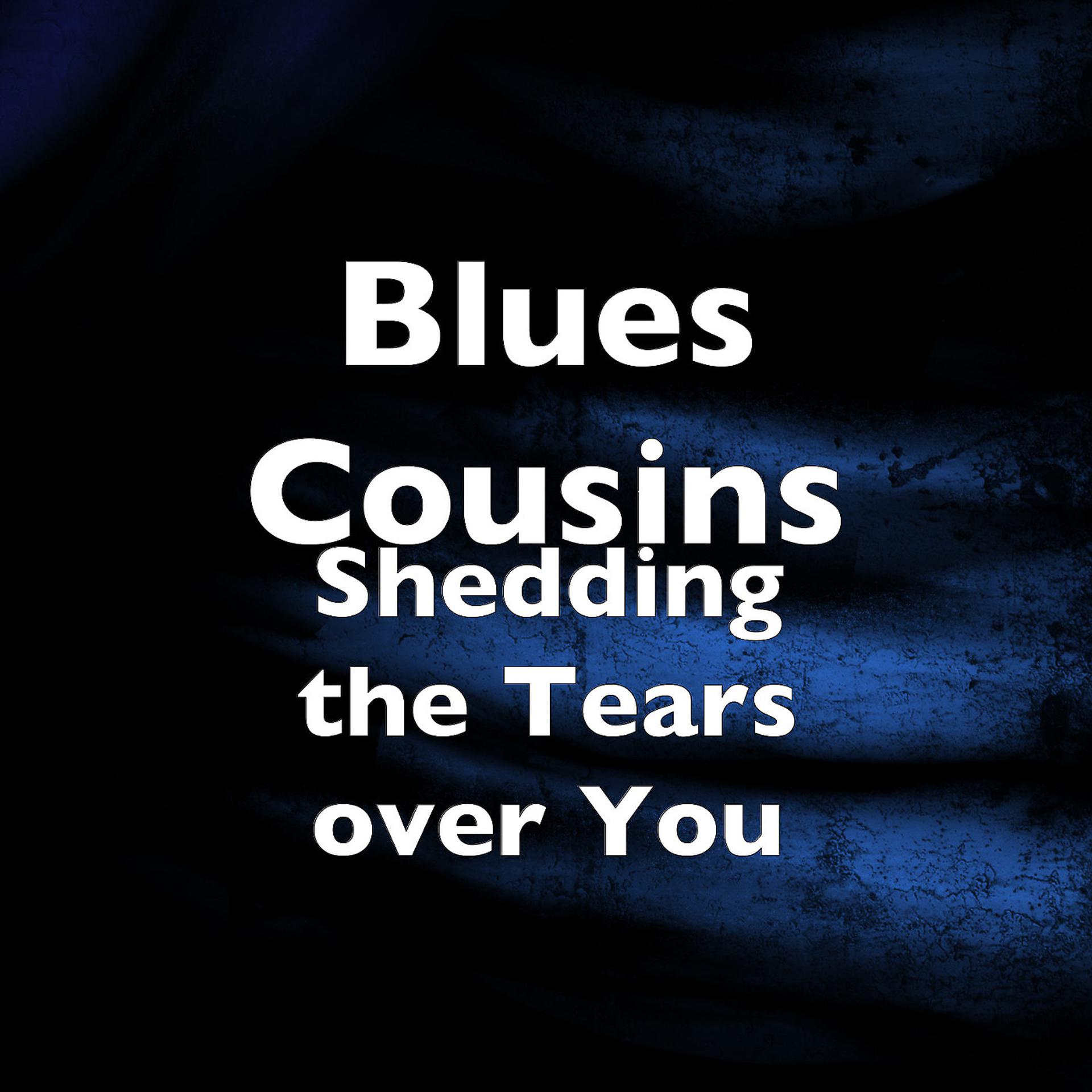 Постер альбома Shedding the Tears over You