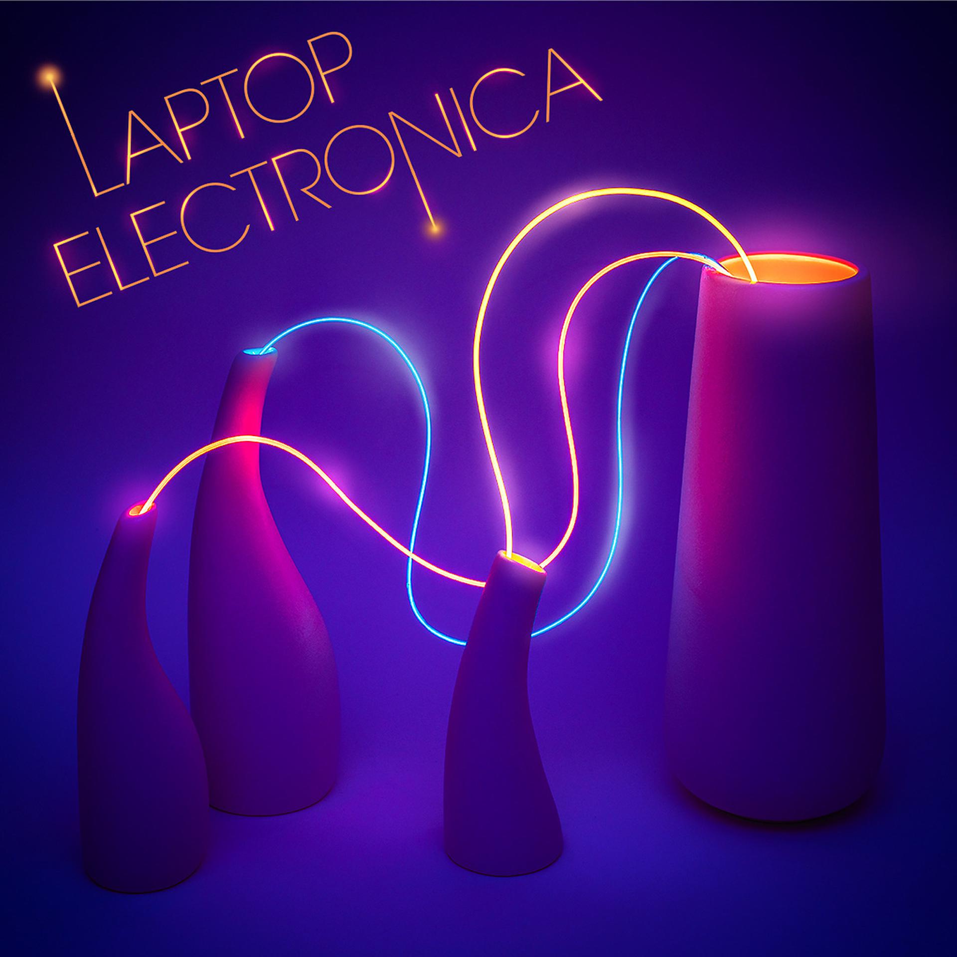 Постер альбома Laptop Electronica