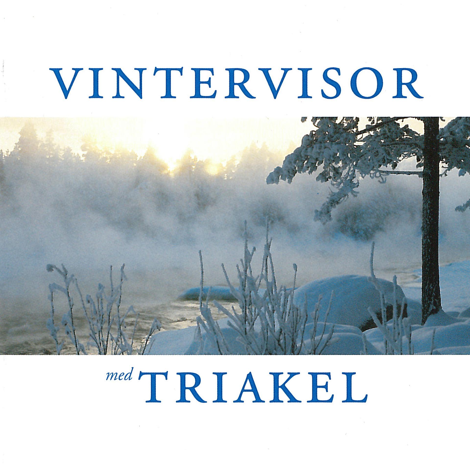 Постер альбома Vintervisor