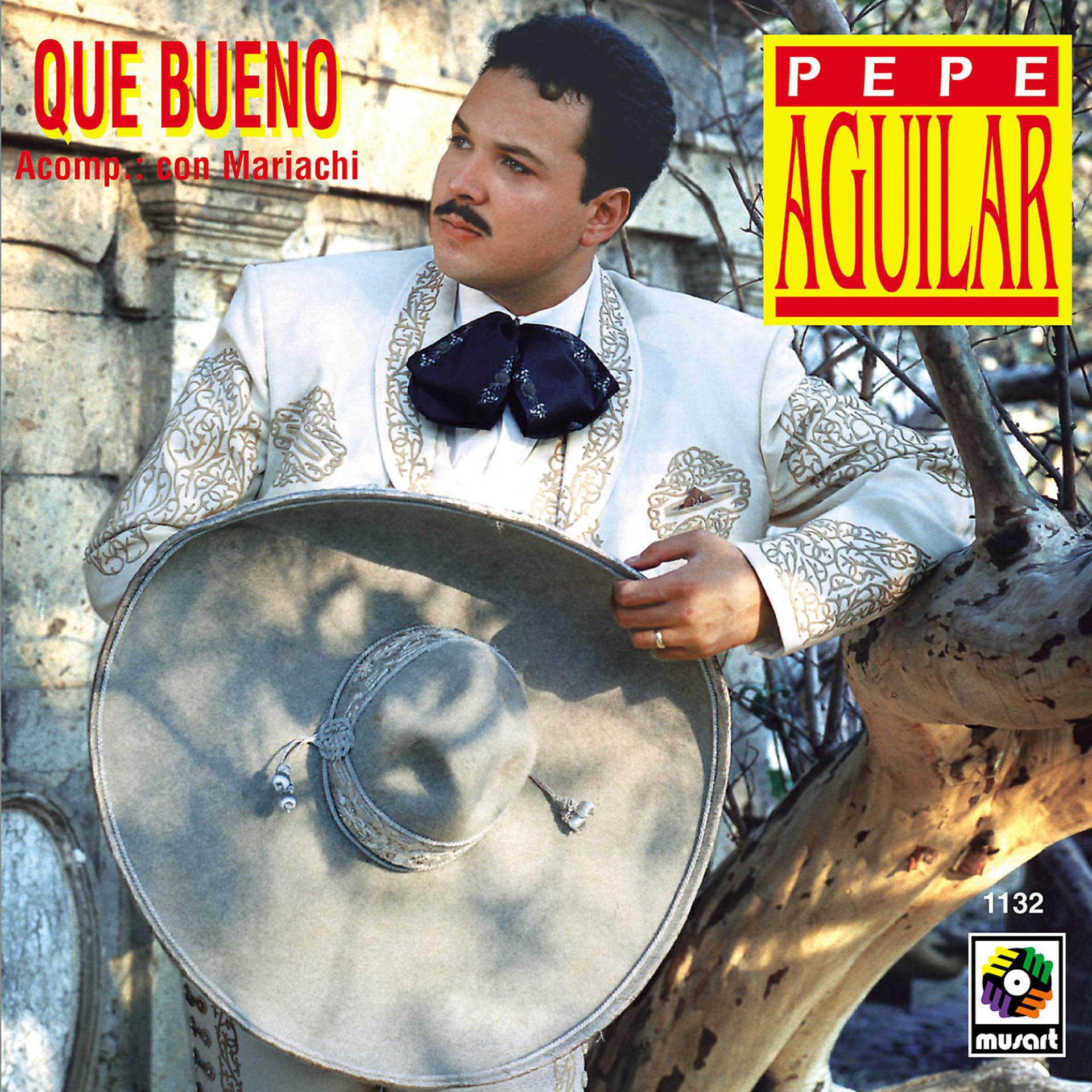Постер альбома Qué Bueno