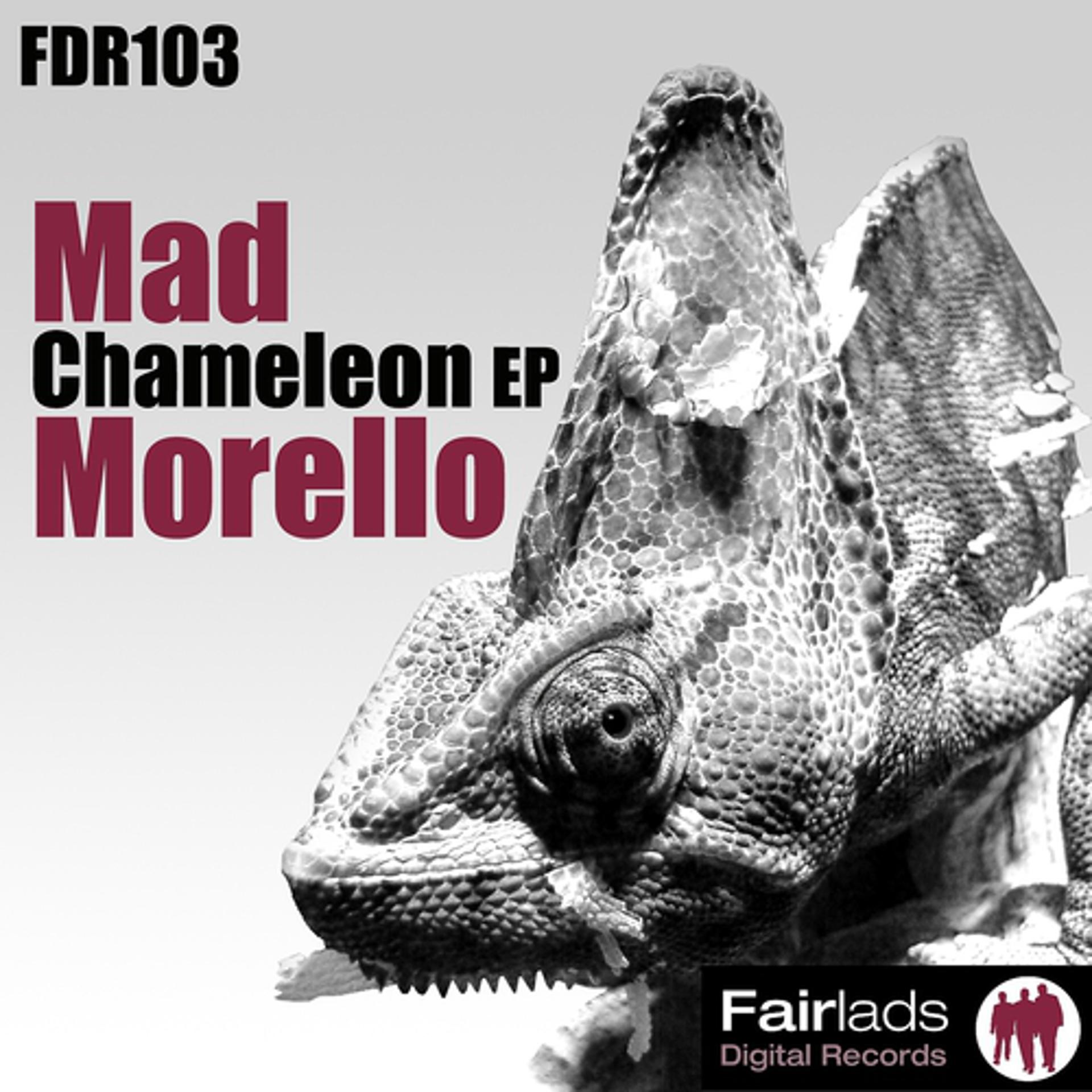Постер альбома Chameleon