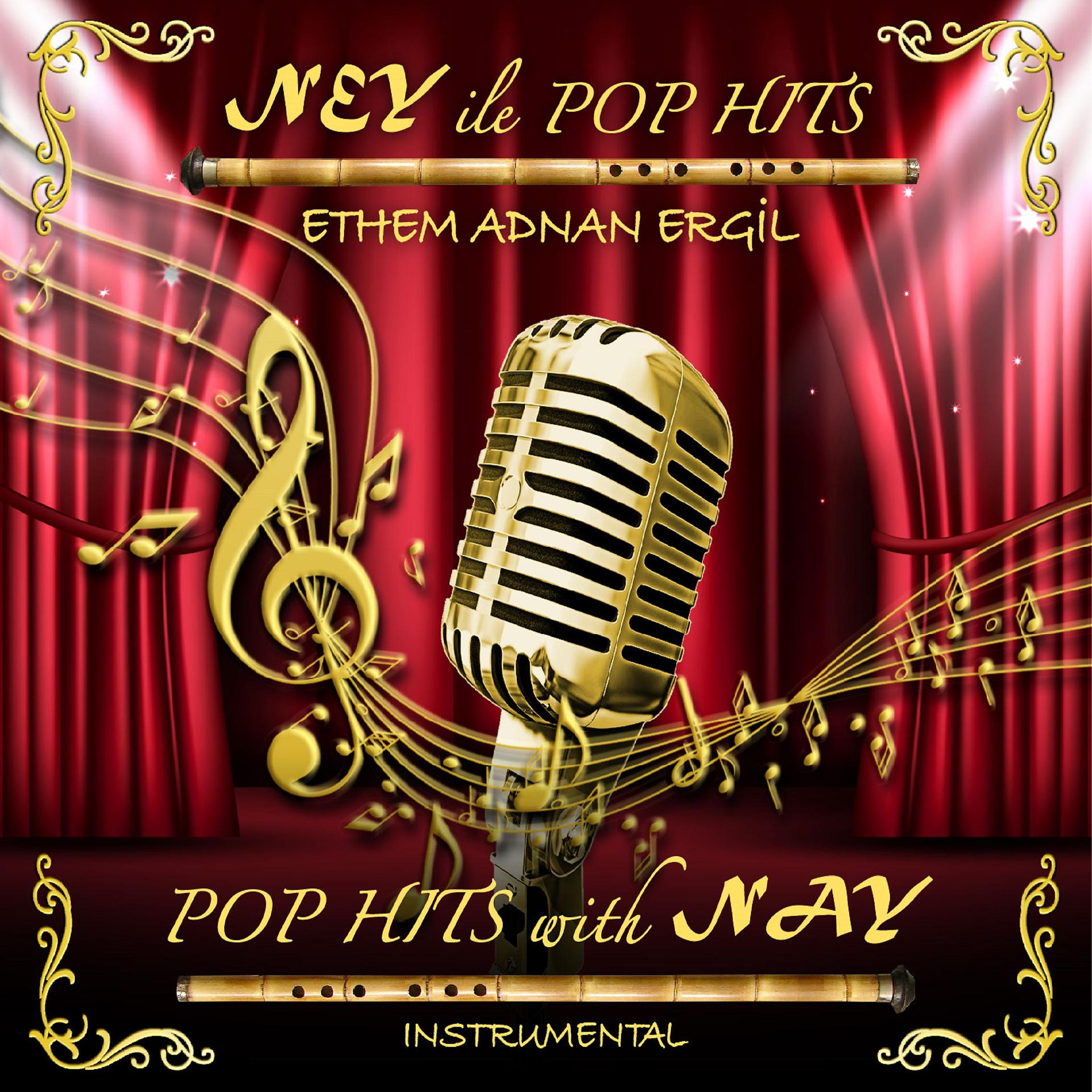 Постер альбома Ney ile Pop Hits
