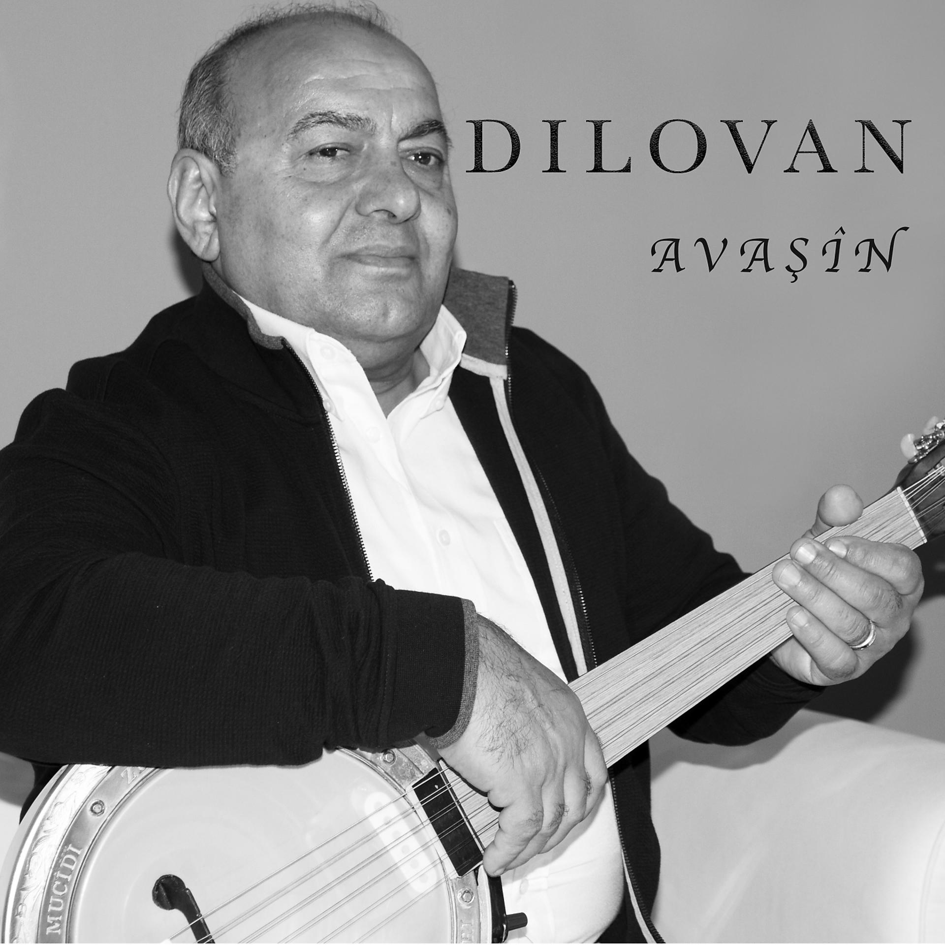 Постер альбома Avaşin
