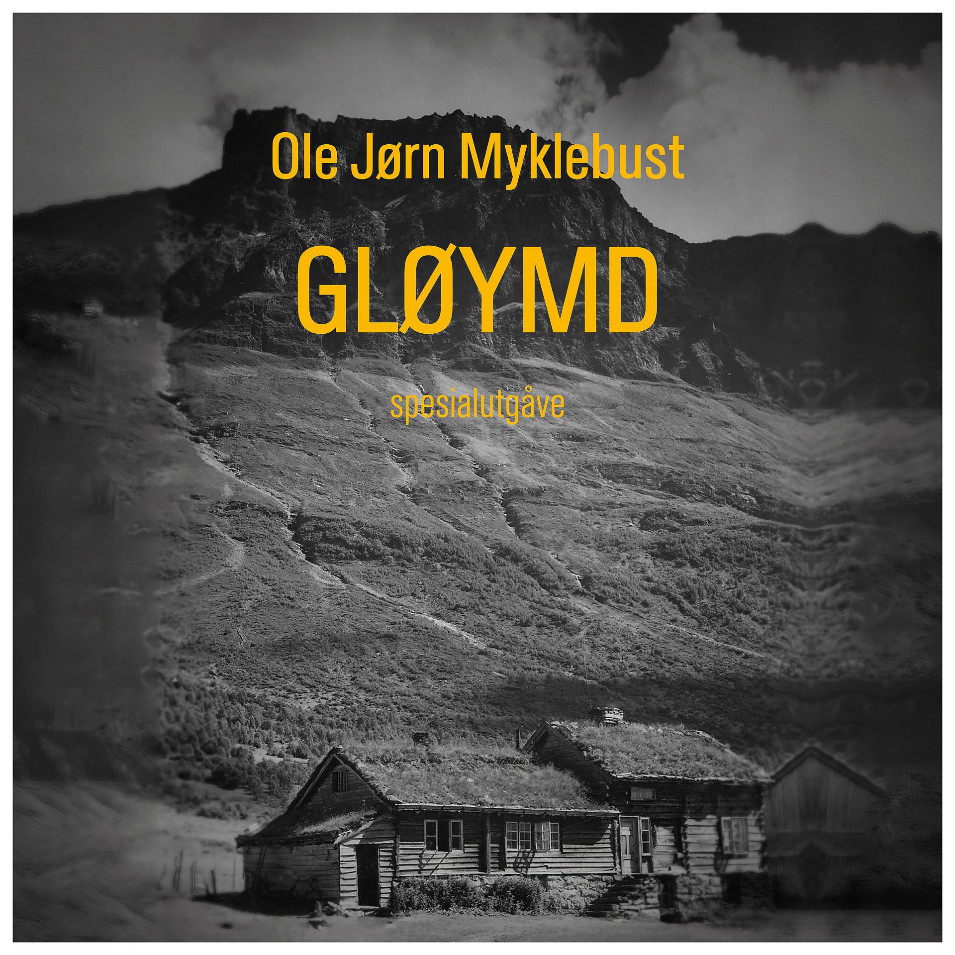 Постер альбома Gløymd