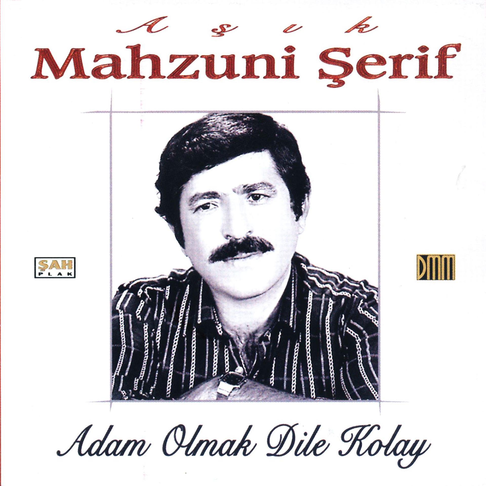Постер альбома Adam Olmak Dile Kolay
