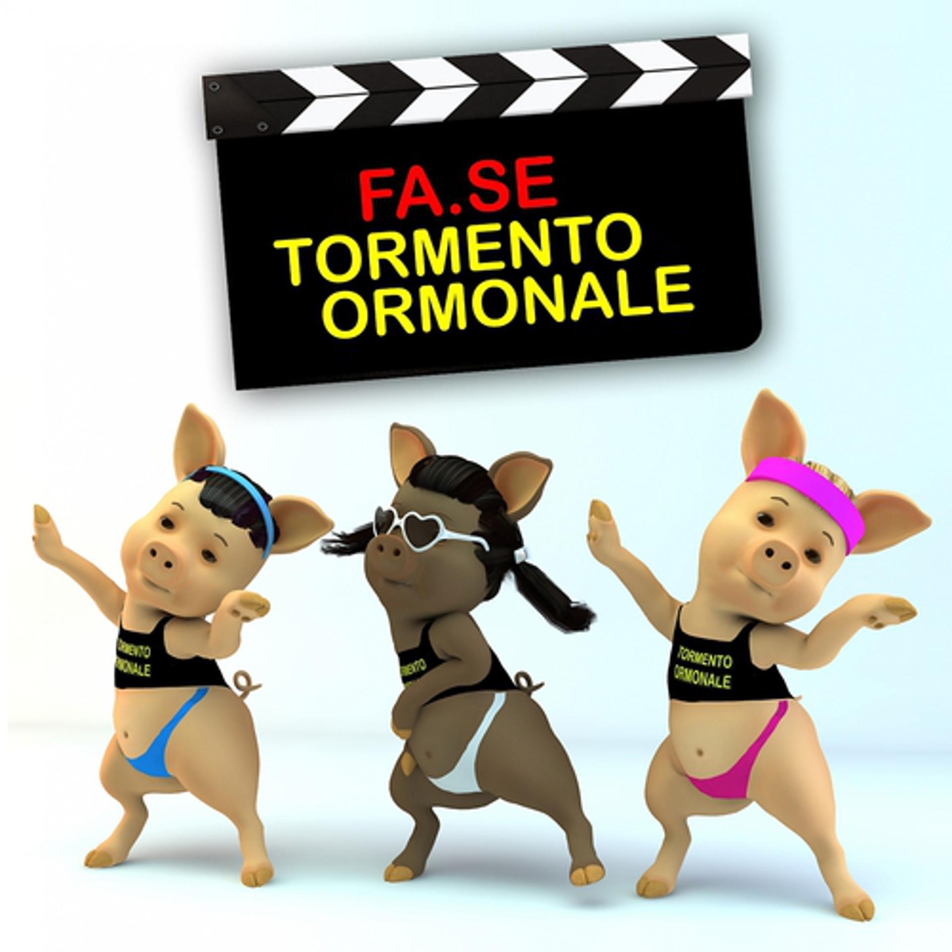 Постер альбома Tormento ormonale