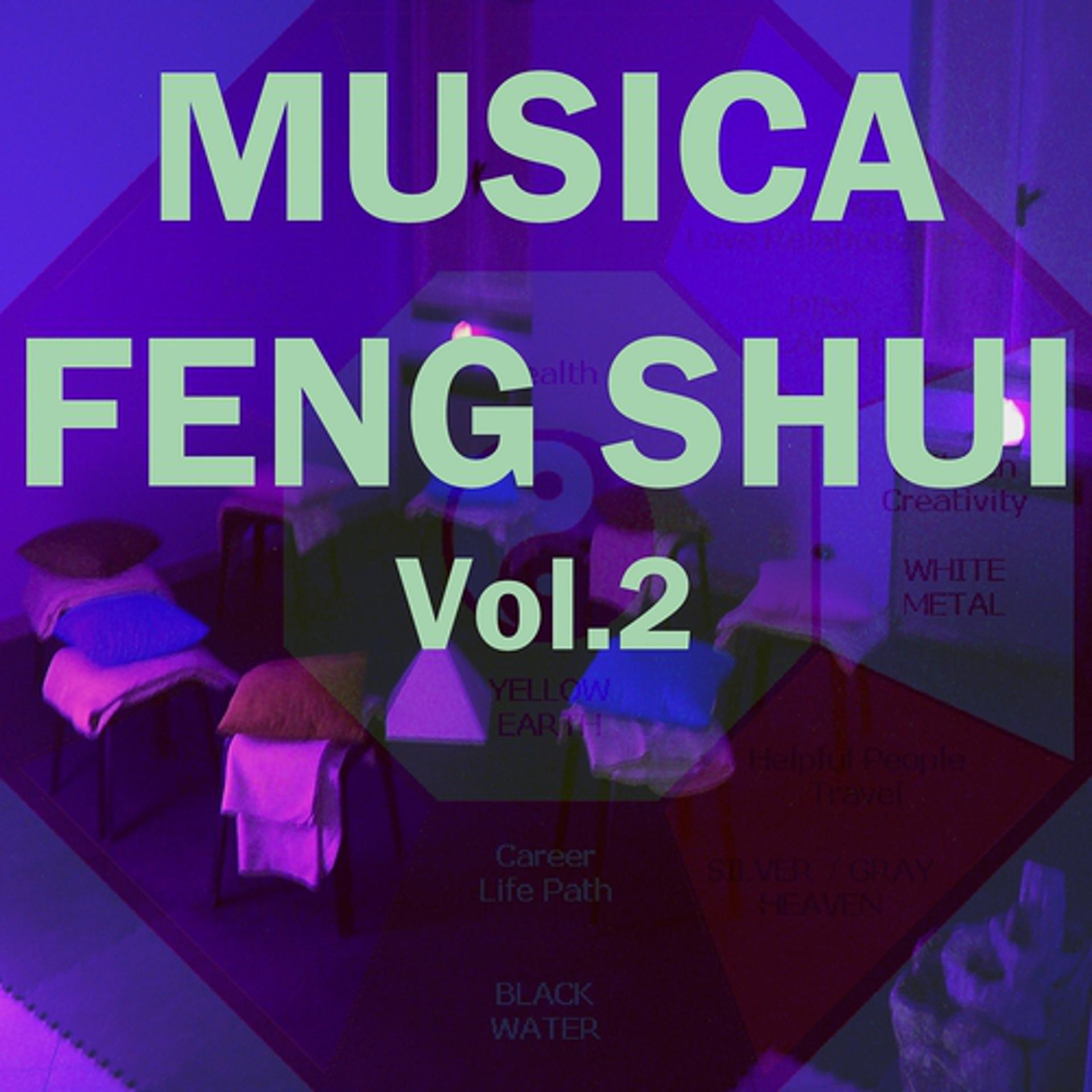 Постер альбома Musica feng shui, vol. 2