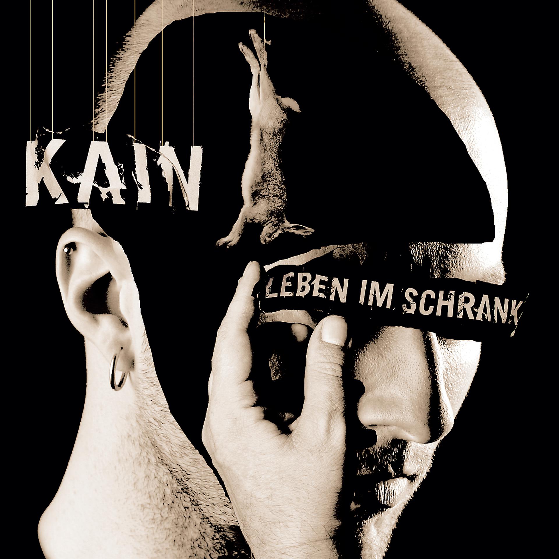 Постер альбома Leben im Schrank