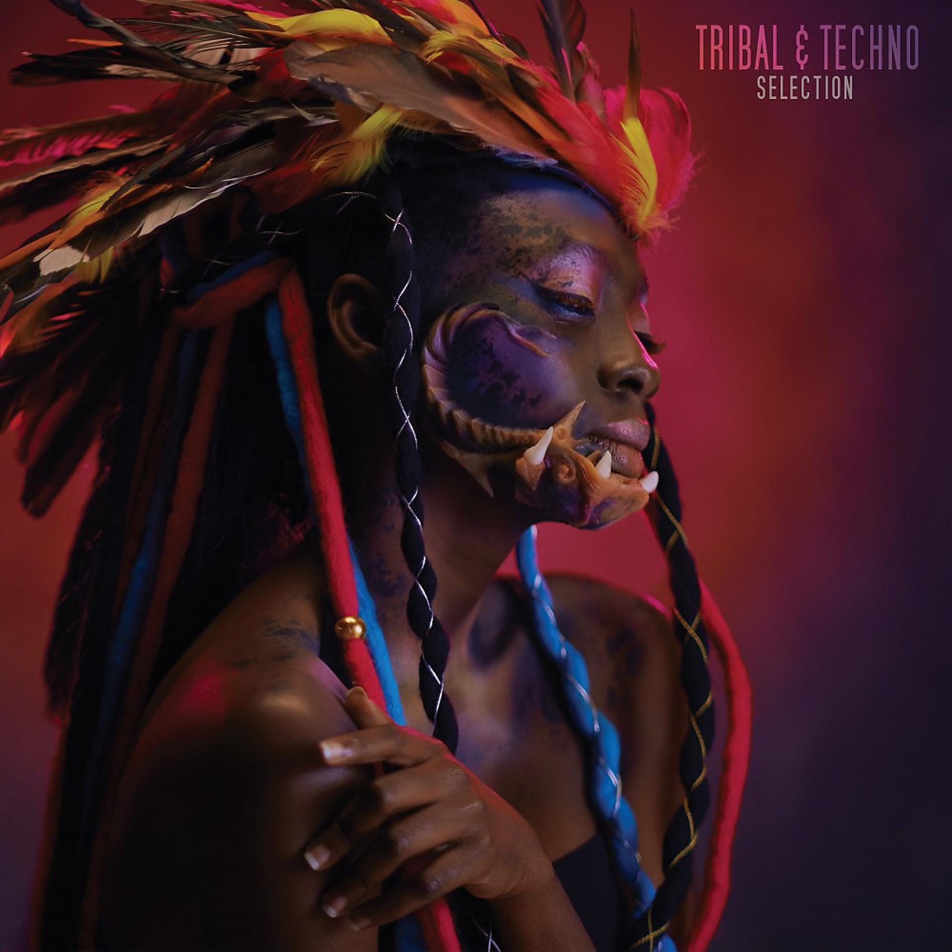 Постер альбома Tribal & Techno Selection