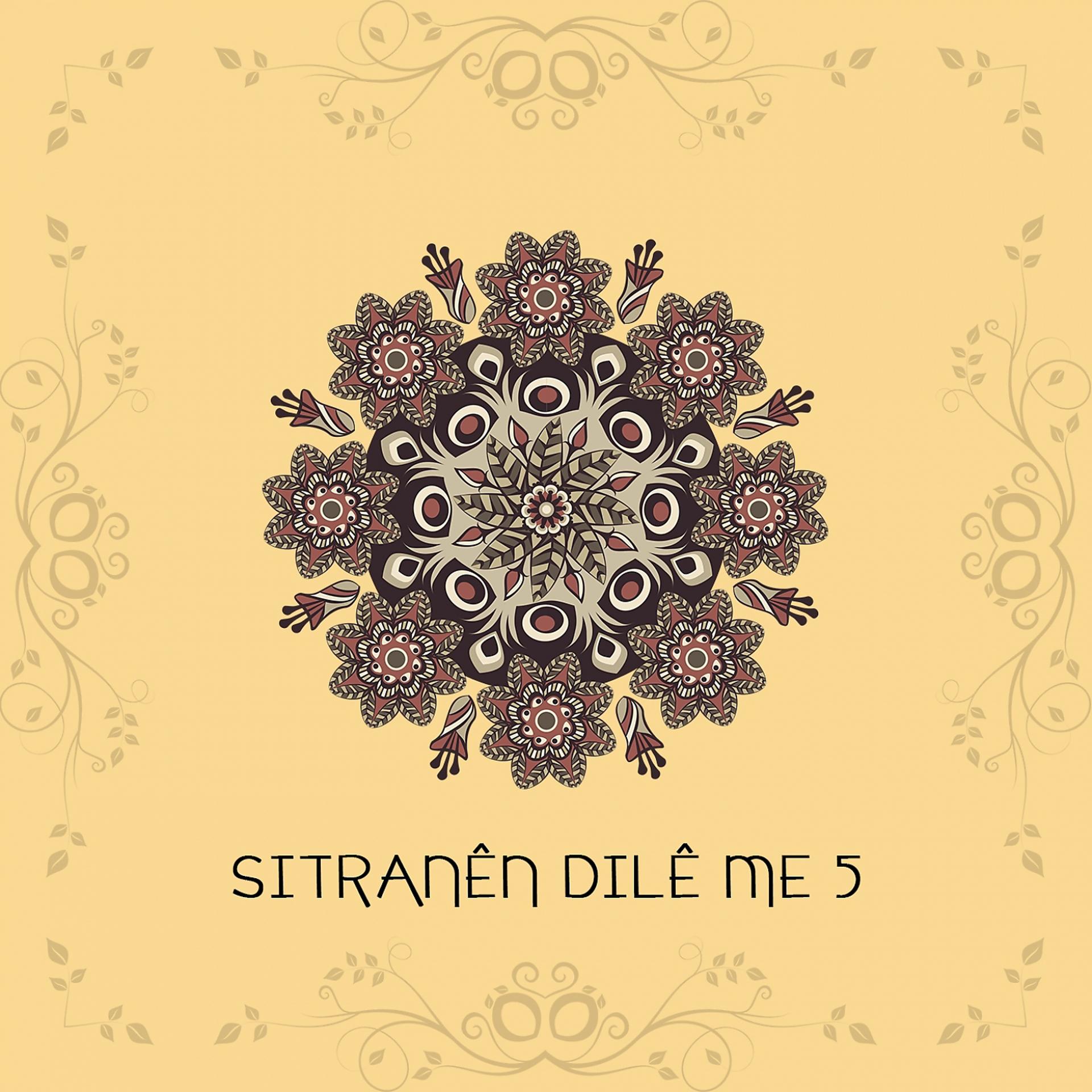 Постер альбома Sitranên Dilê Me, Vol. 5